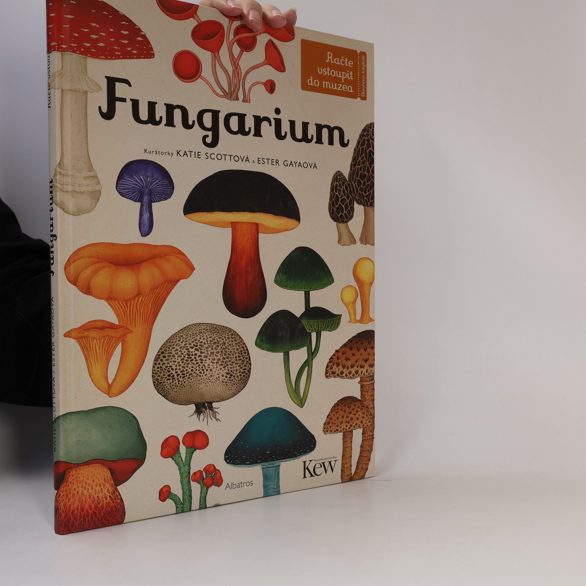 David L. Hawksworth Fungarium