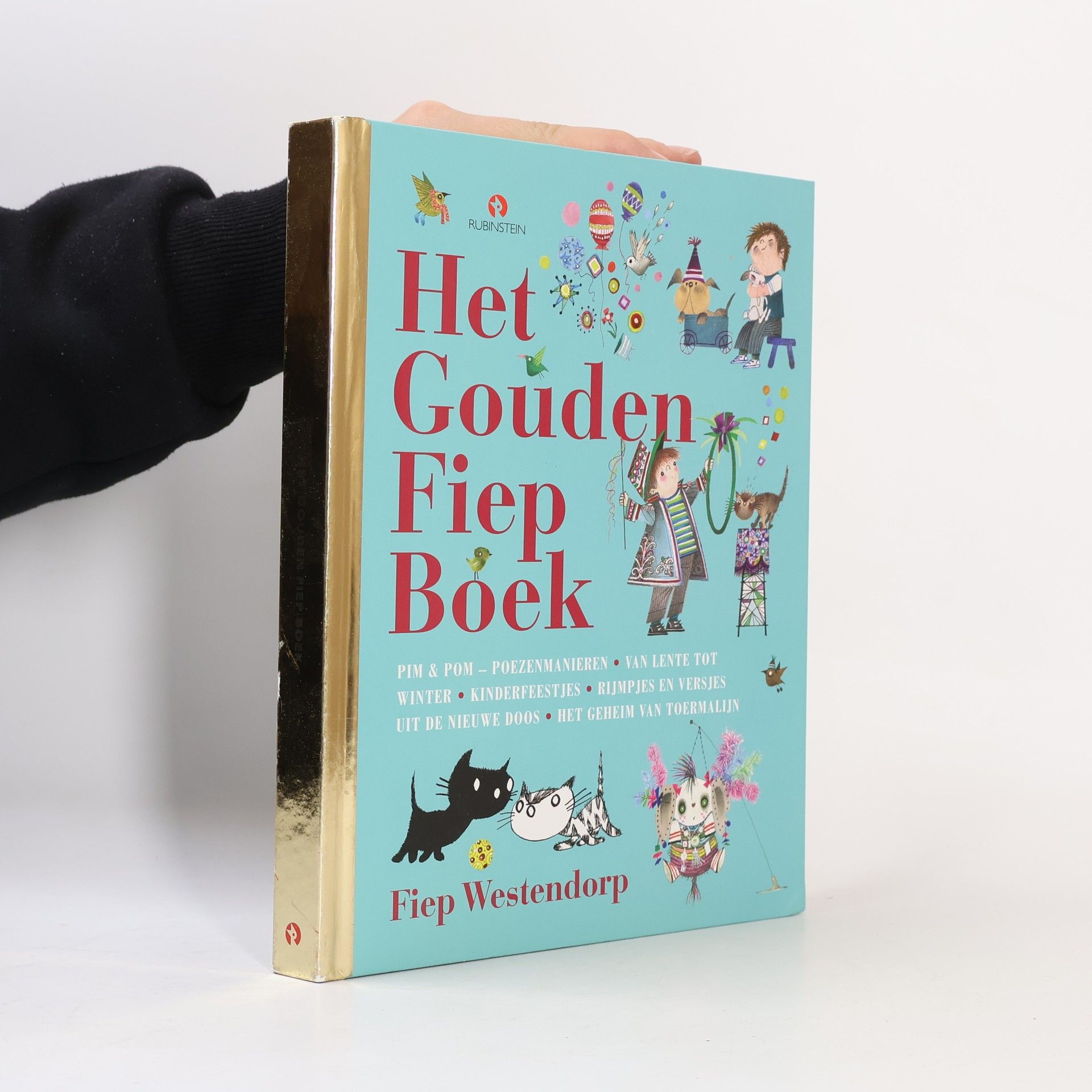 Hans van der Voort Het Gouden Fiep Boek