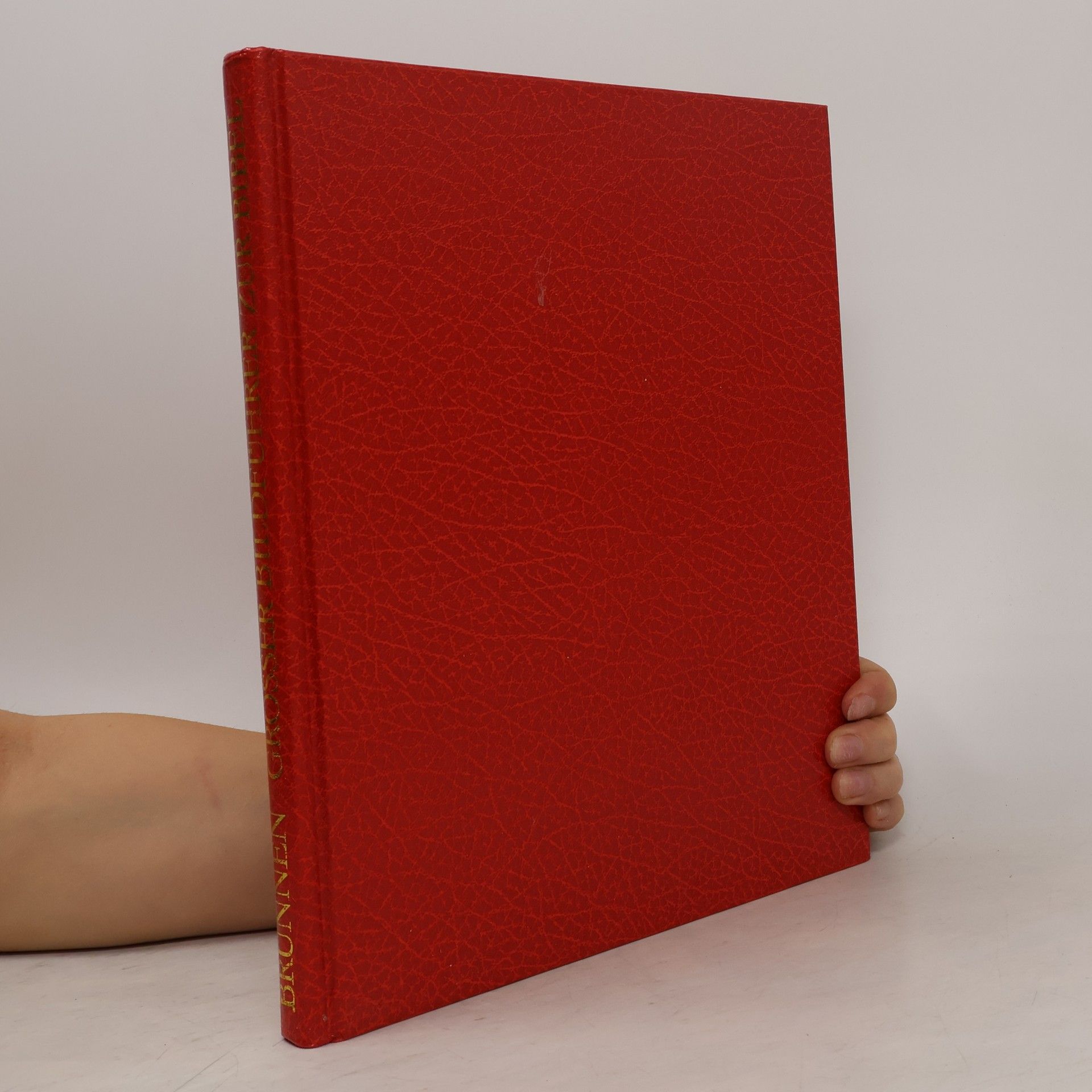 Caroline Masom Grosser Bildführer zur Bibel