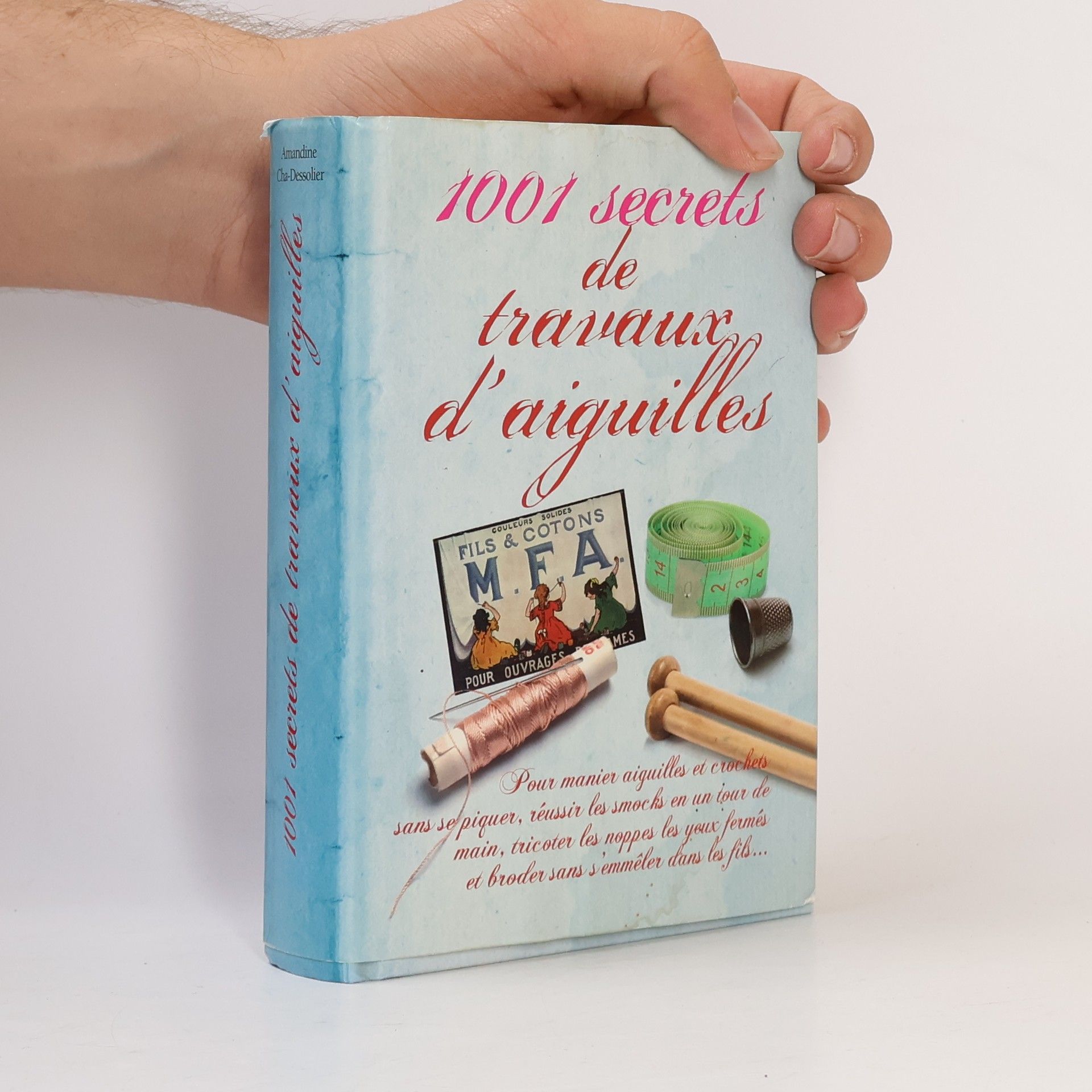 Amandine Cha-Dessolier 1001 secrets de travaux d'aiguilles