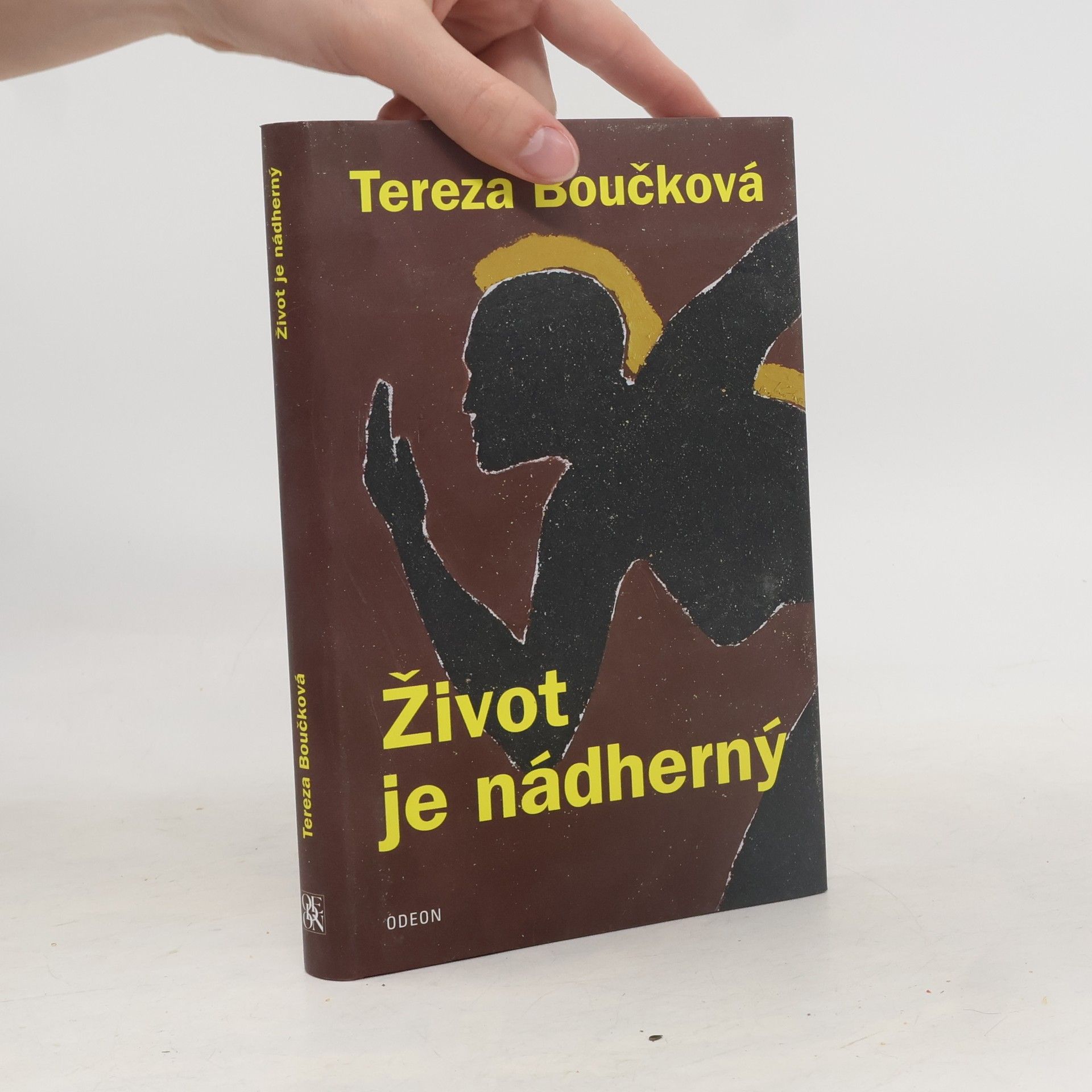 Tereza Boučková Život je nádherný
