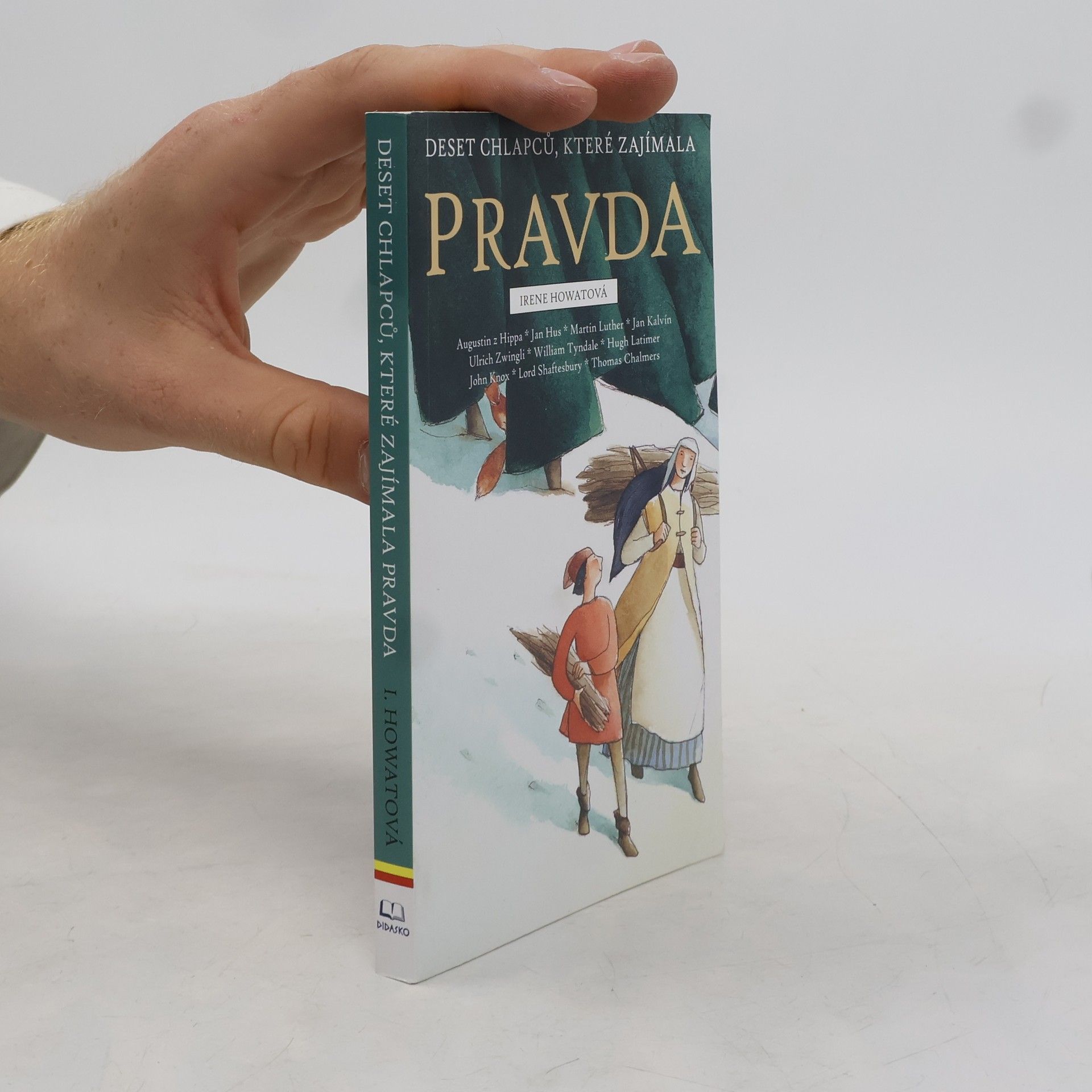 Irene Howat Deset chlapců, které zajímala pravda