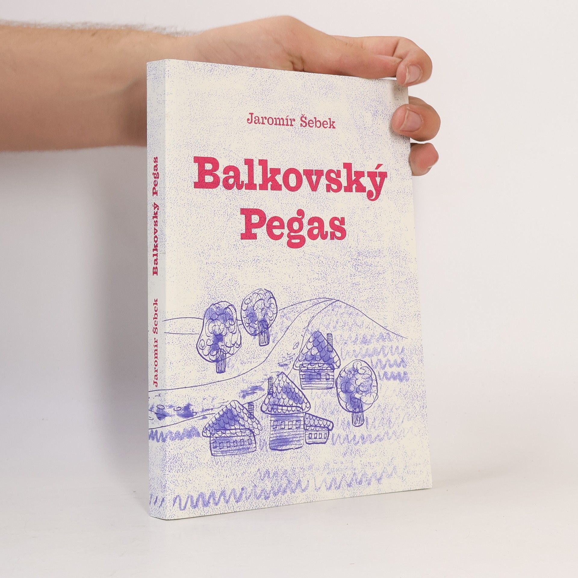 Jaromír Šebek Balkovský Pegas