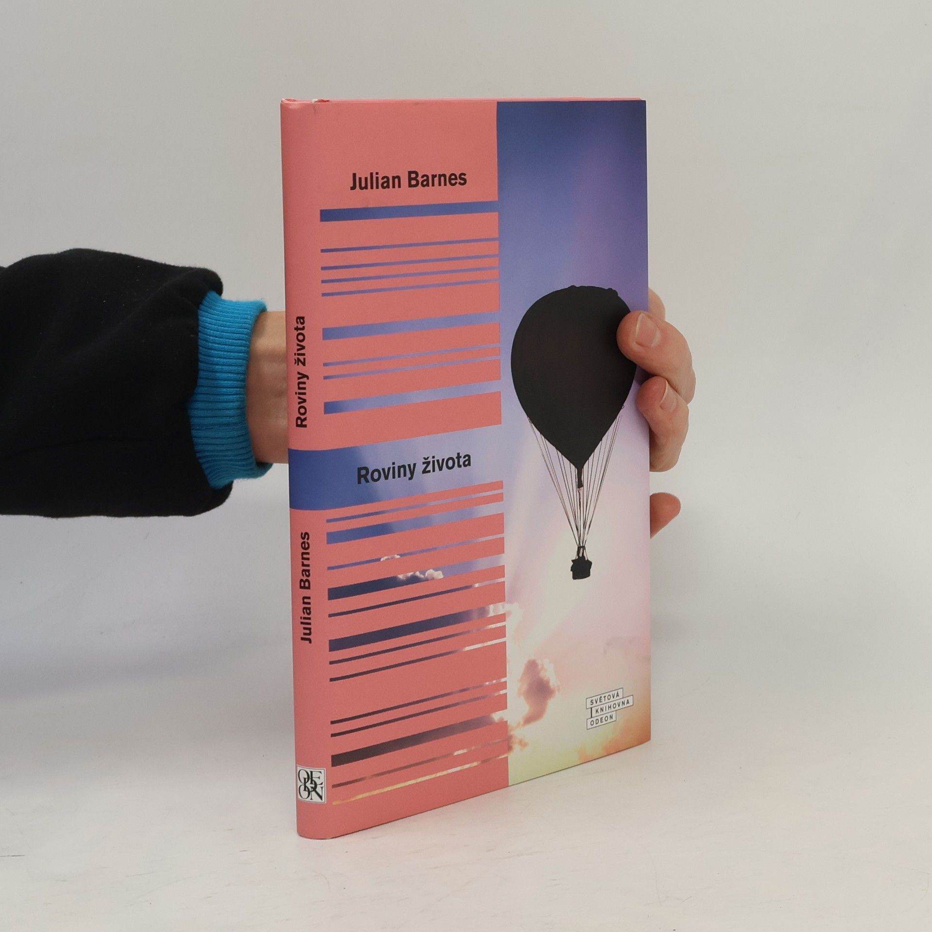 Julian Barnes Roviny života