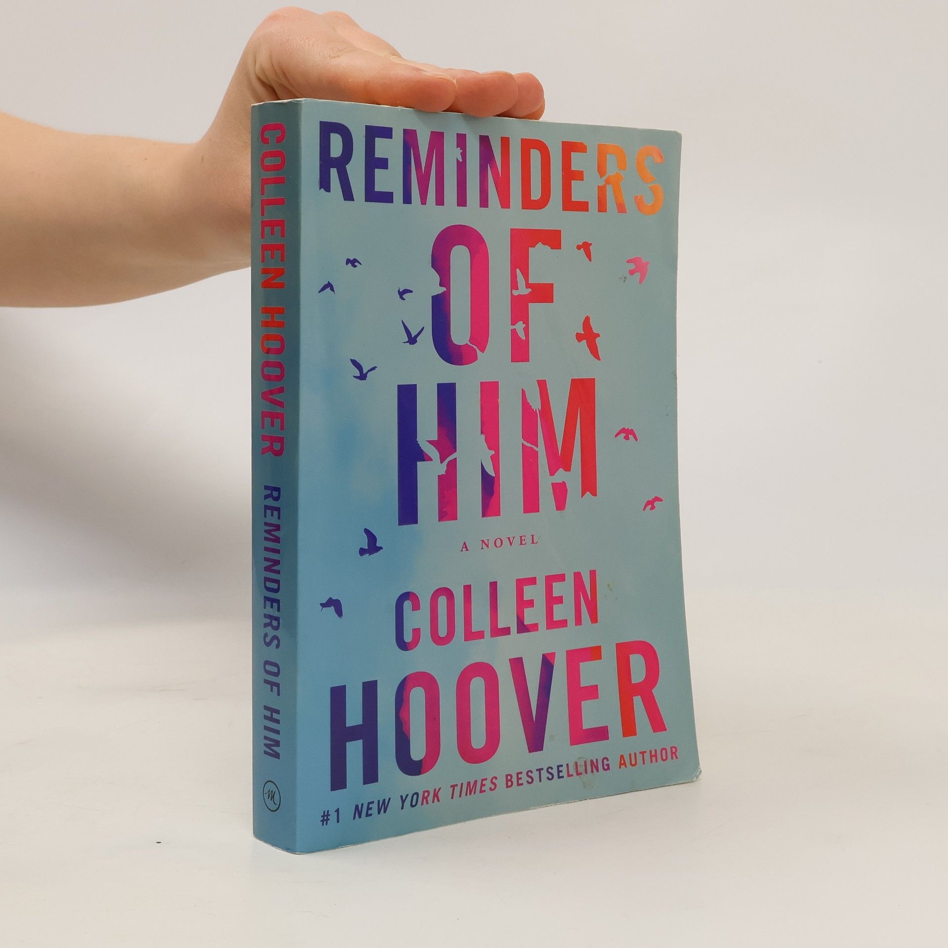 Colleen Hoover Reminders of him