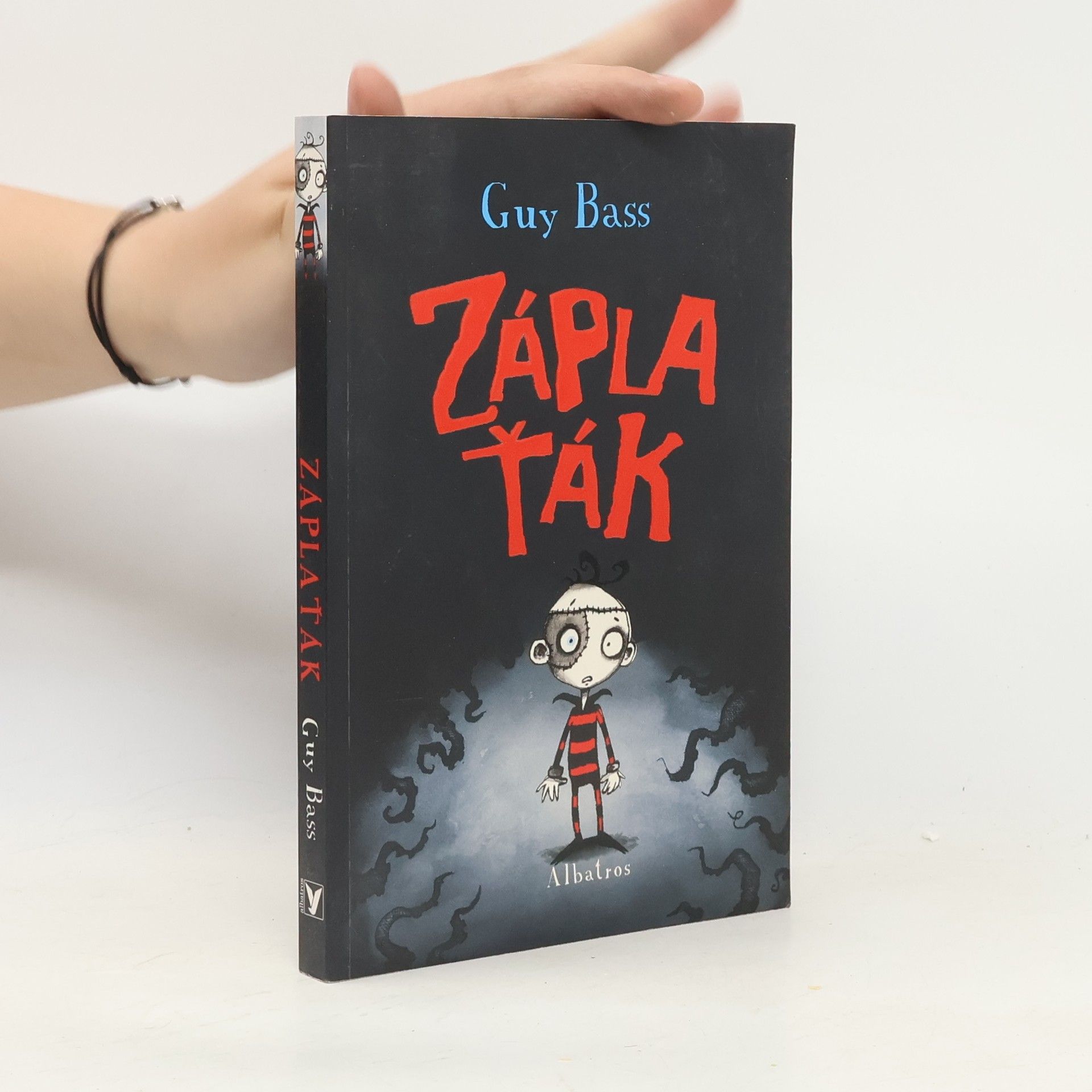 Guy Bass Záplaťák