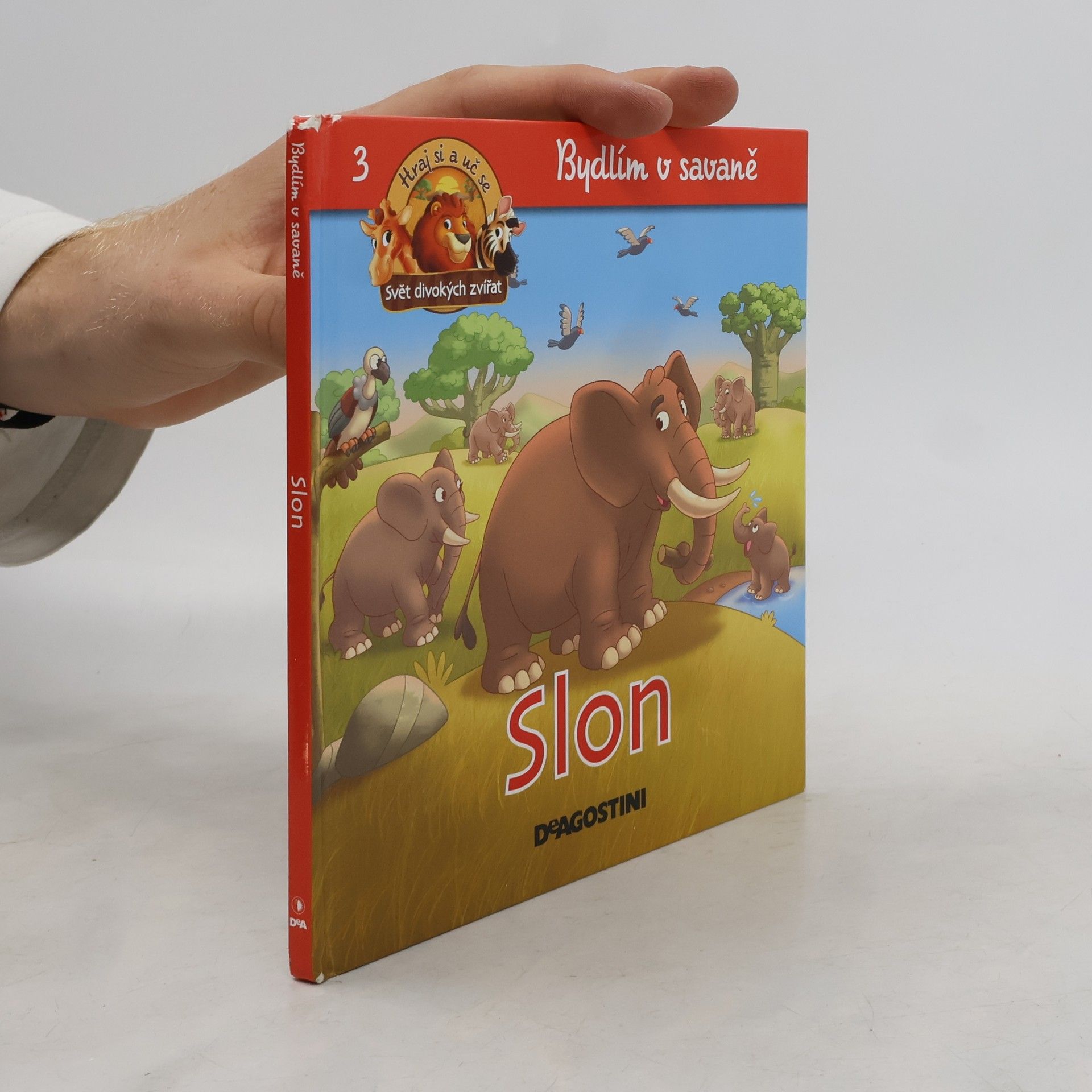 Autorenkollektiv Bydlím v savaně 3. Slon