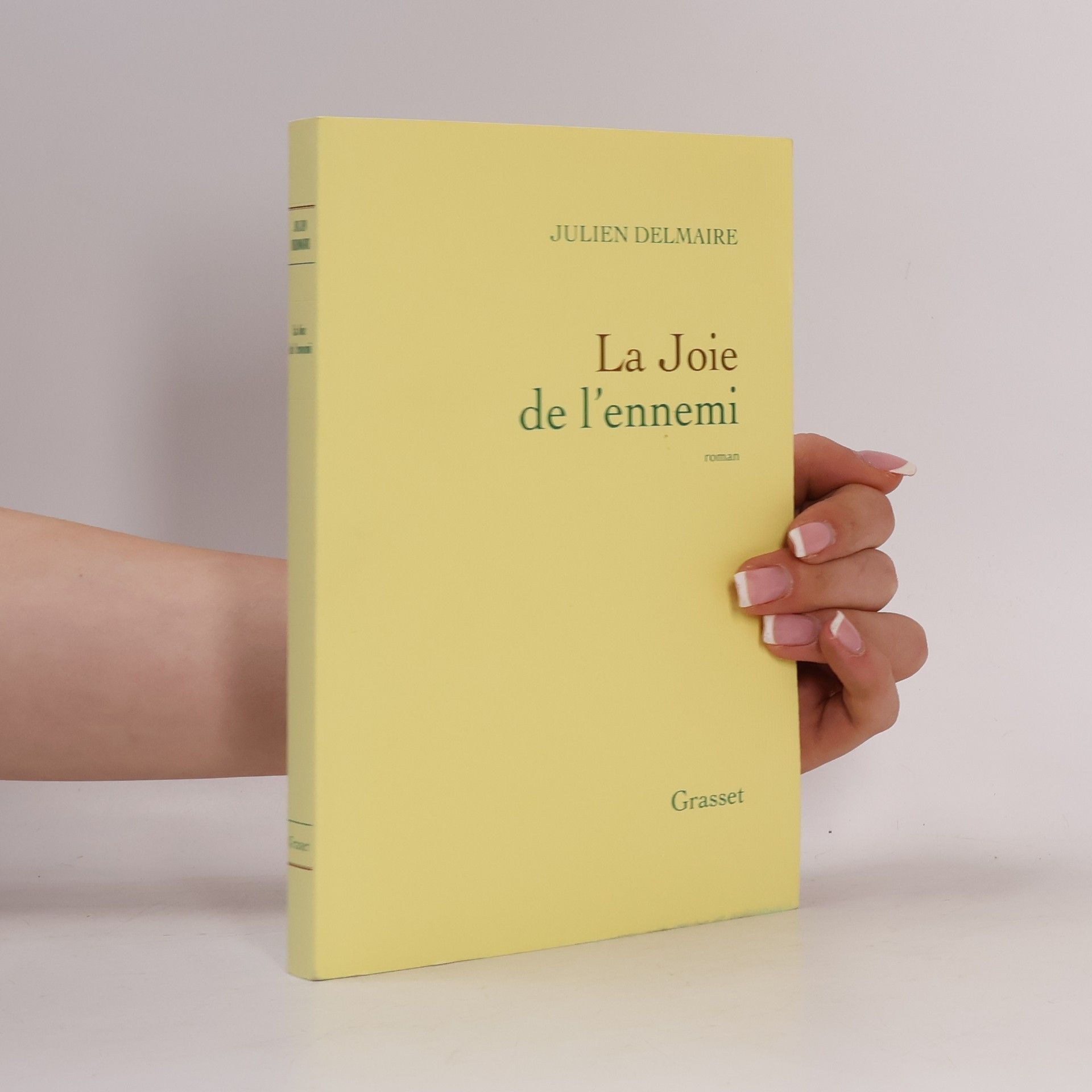 Julien Delmaire La joie de l'ennemi