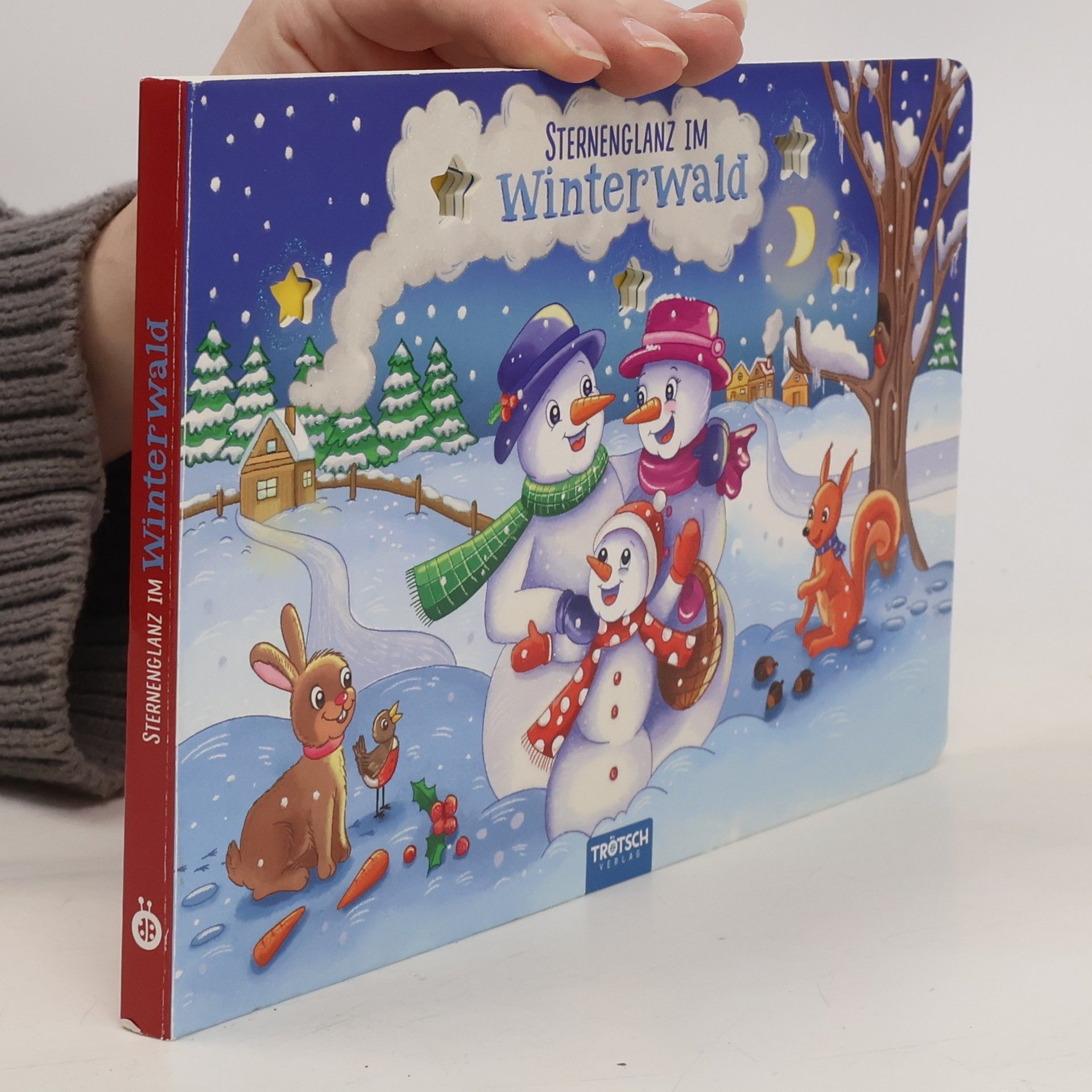 Autorenkollektiv Trötsch Gucklochbuch Sternenglanz im Winterwald. Beschäftigungsbuch Spielbuch Entdeckerbuch