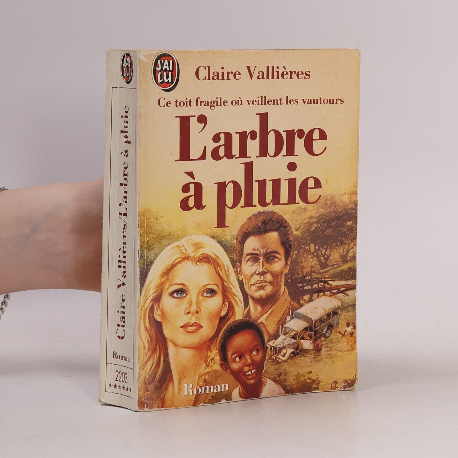 Claire Vallières L'arbre à pluie