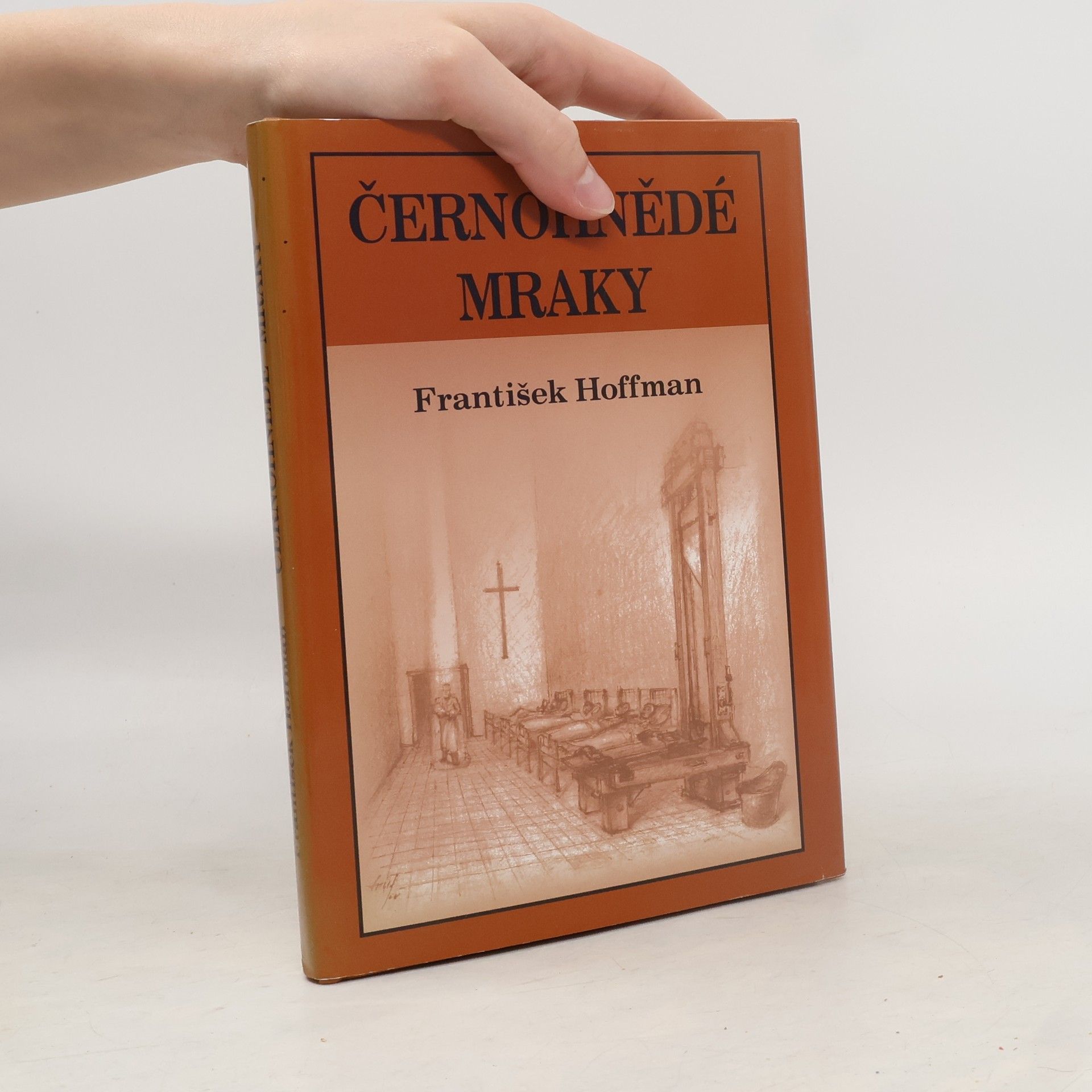 František Hoffman Černohnědé mraky