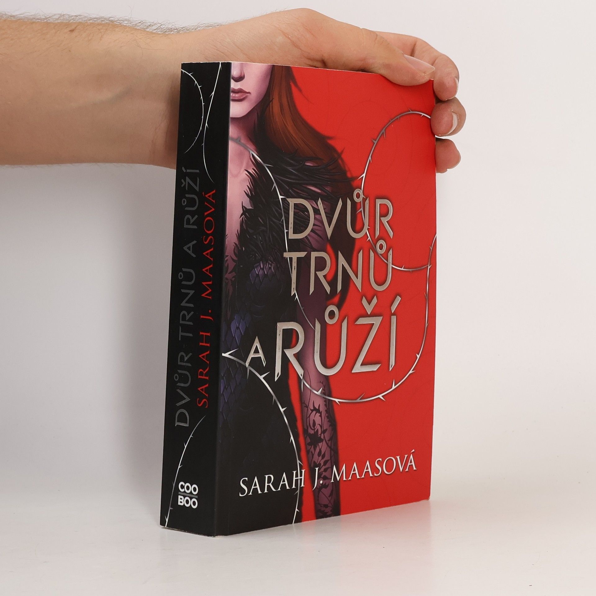 Sarah J. Maasová Dvůr trnů a růží