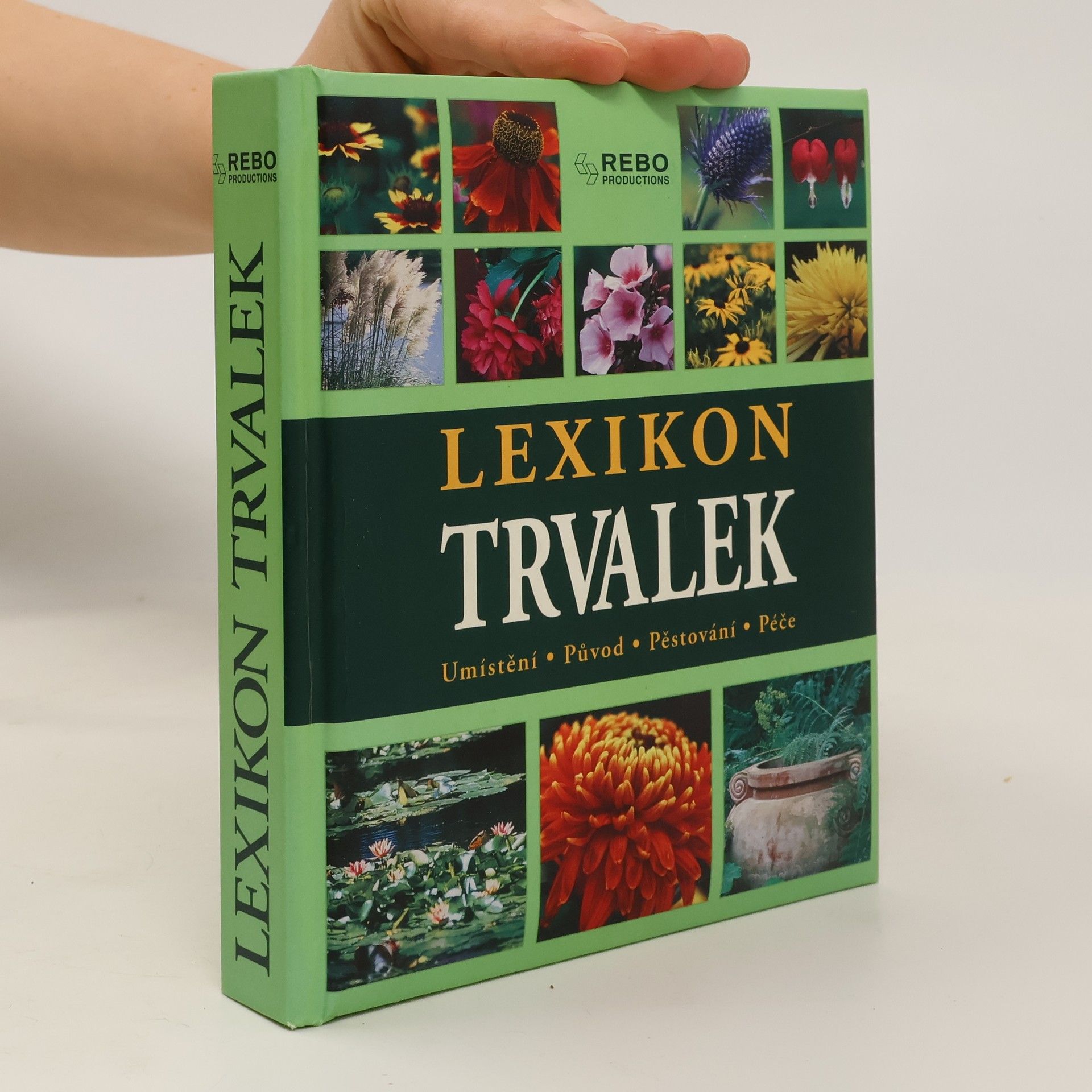 Andrea Rausch Lexikon trvalek : umístění, původ, pěstování, péče