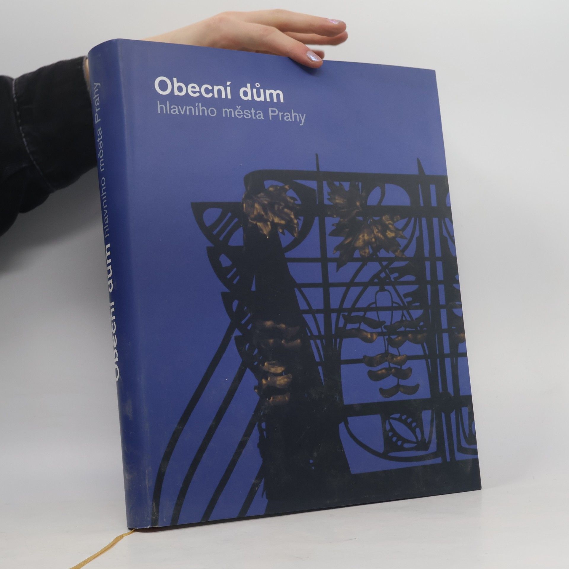 Autorenkollektiv Obecní dům hlavního města Prahy