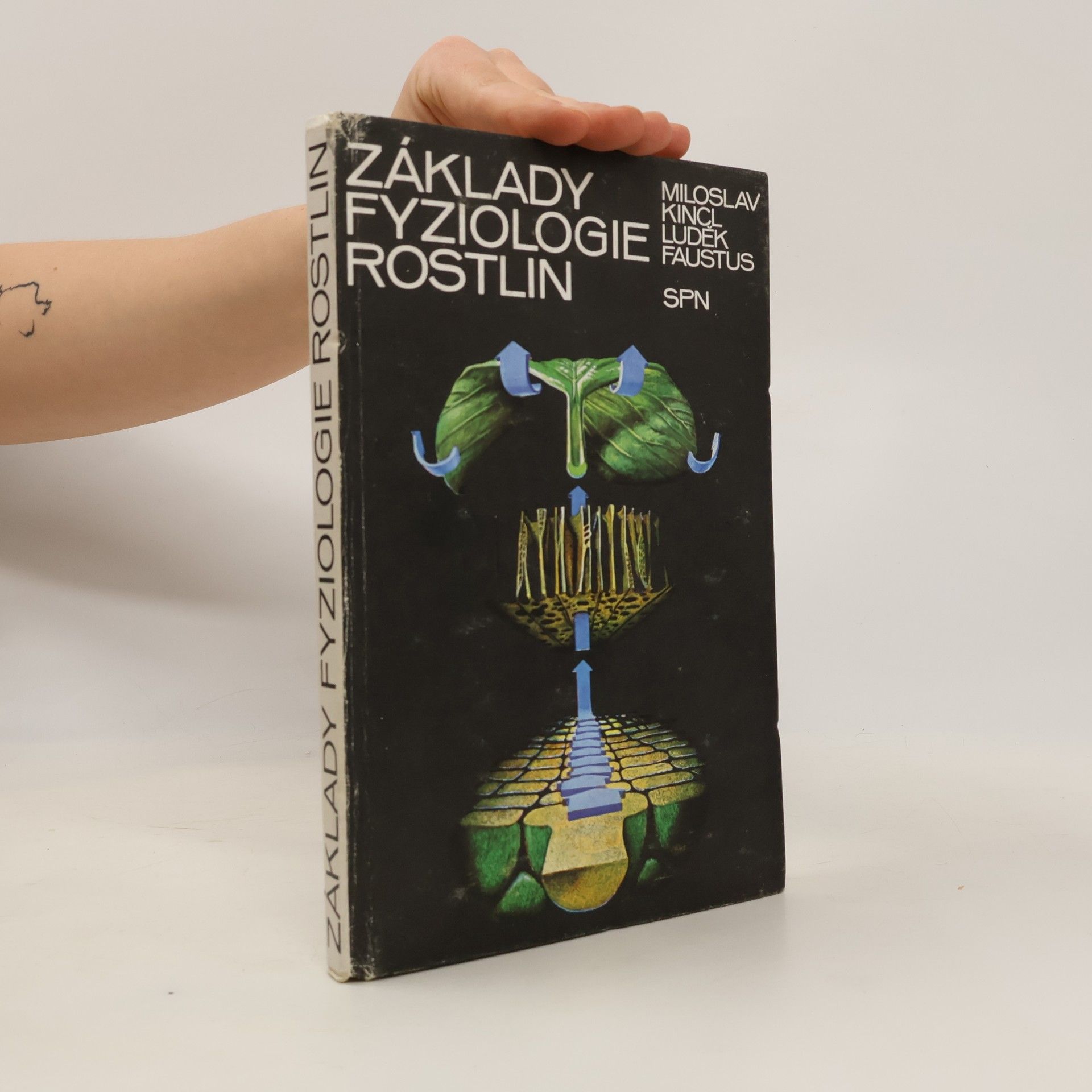 Základy fyziologie rostlin