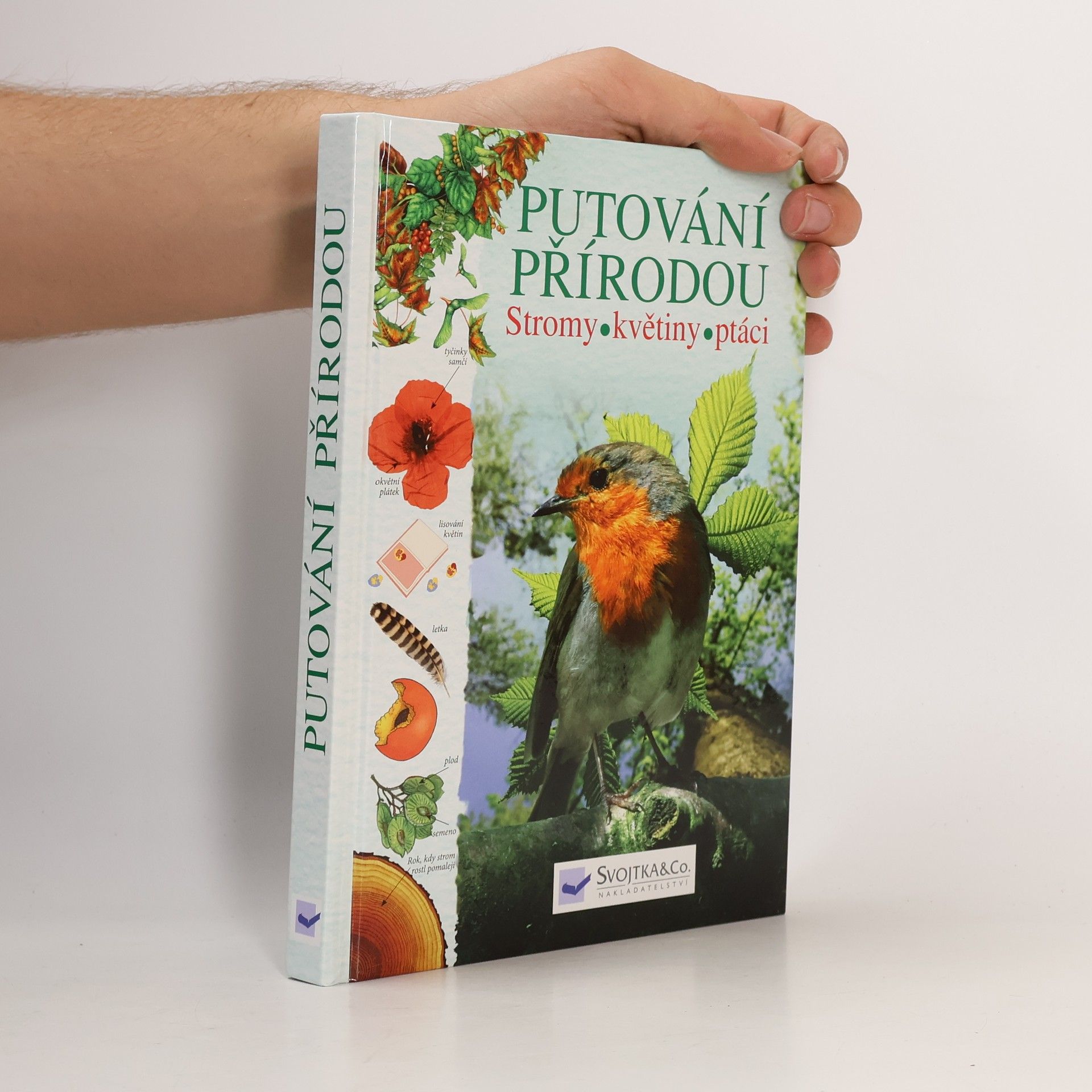 Collectif d'auteurs Putování přírodou: Stromy, květiny, ptáci