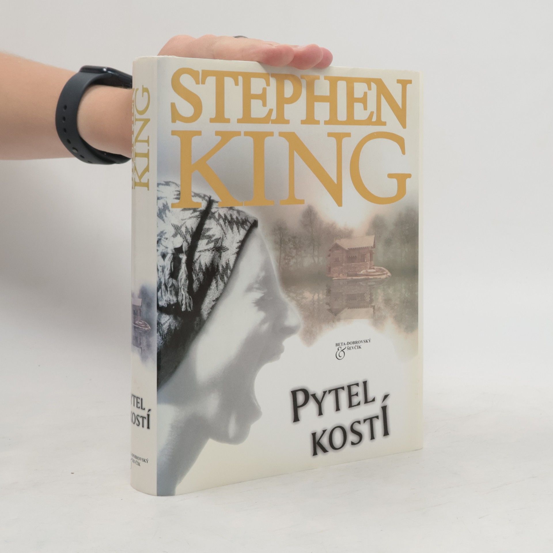 Stephen King Pytel kostí