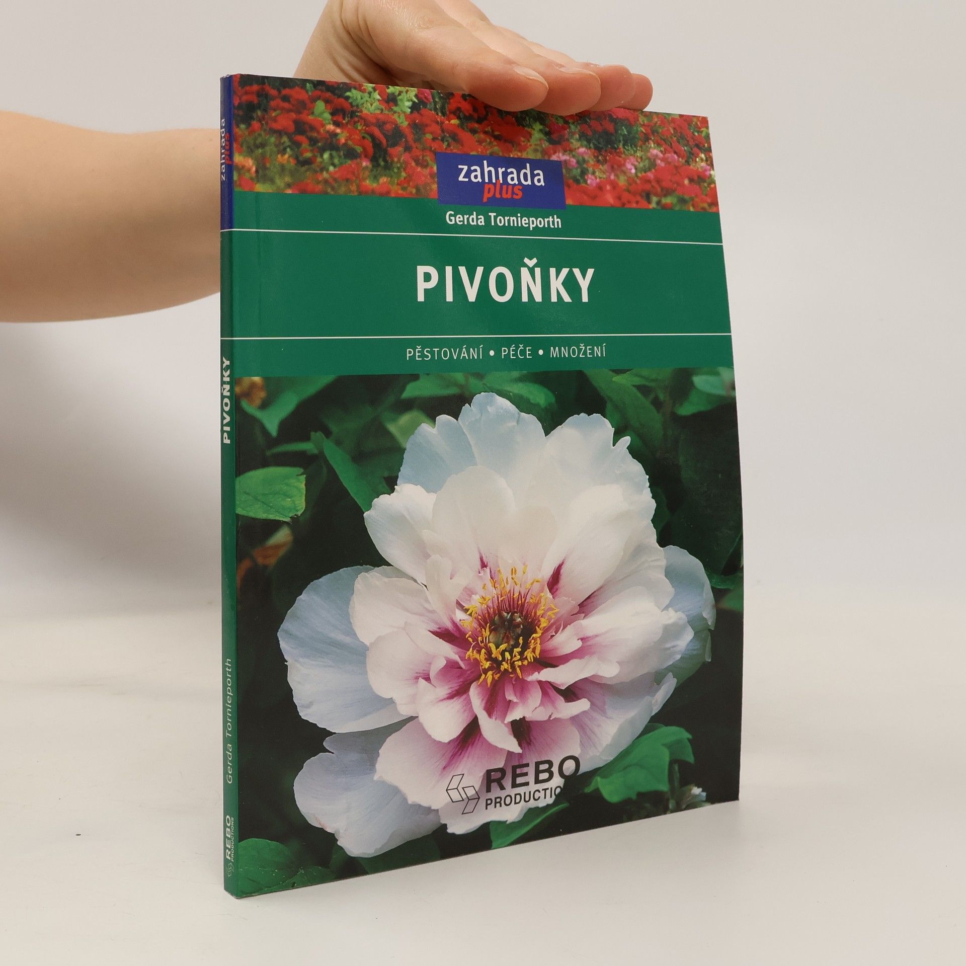 Gerda Tornieporth Pivoňky