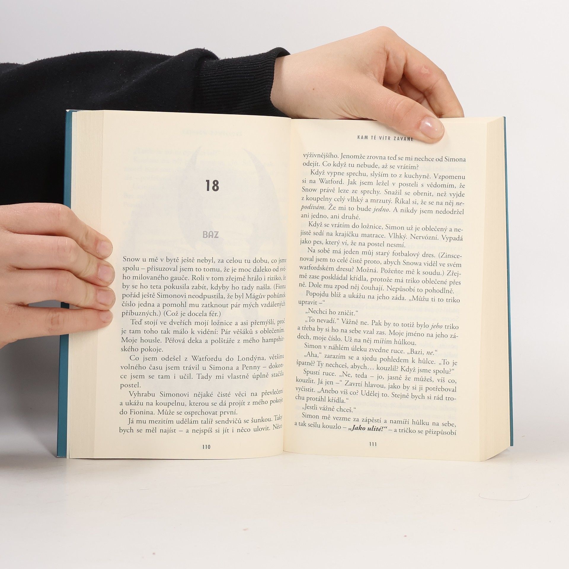 Rainbow Rowell Kam tě vítr zavane