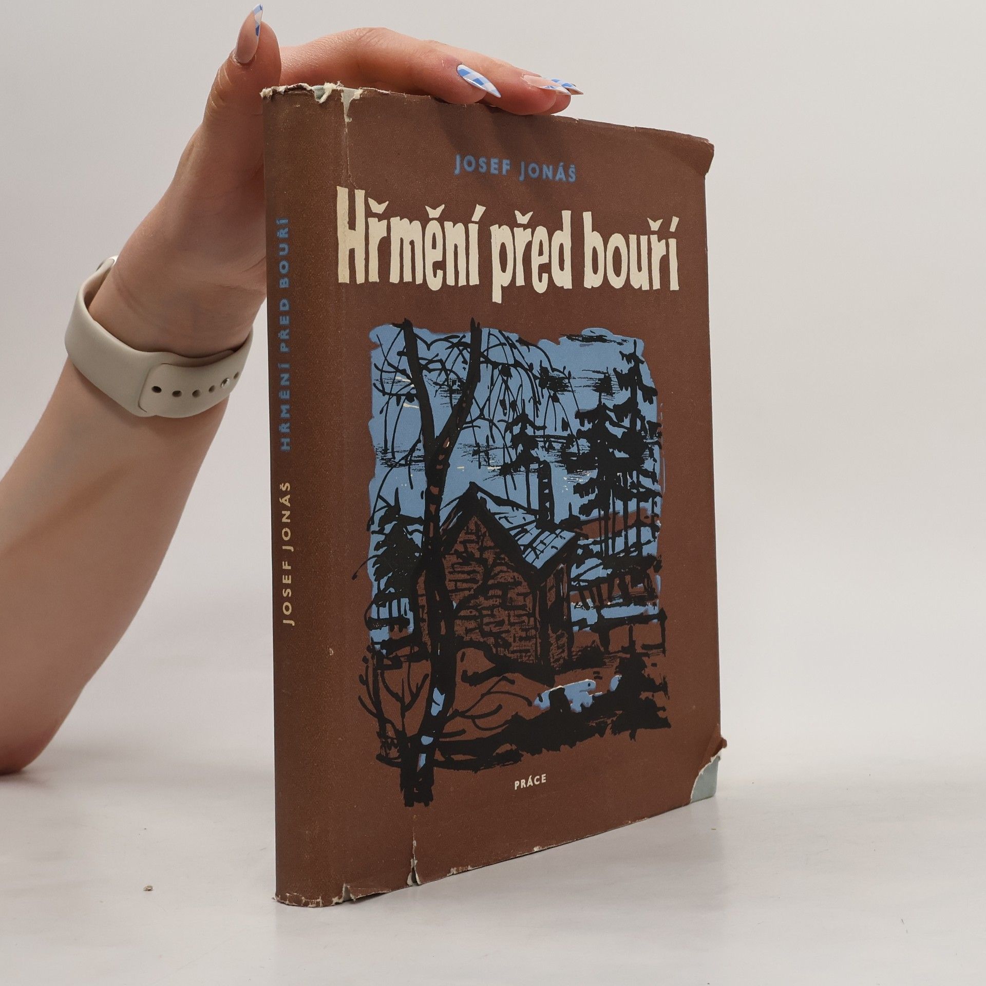 Josef Jonáš Hřmění před bouří