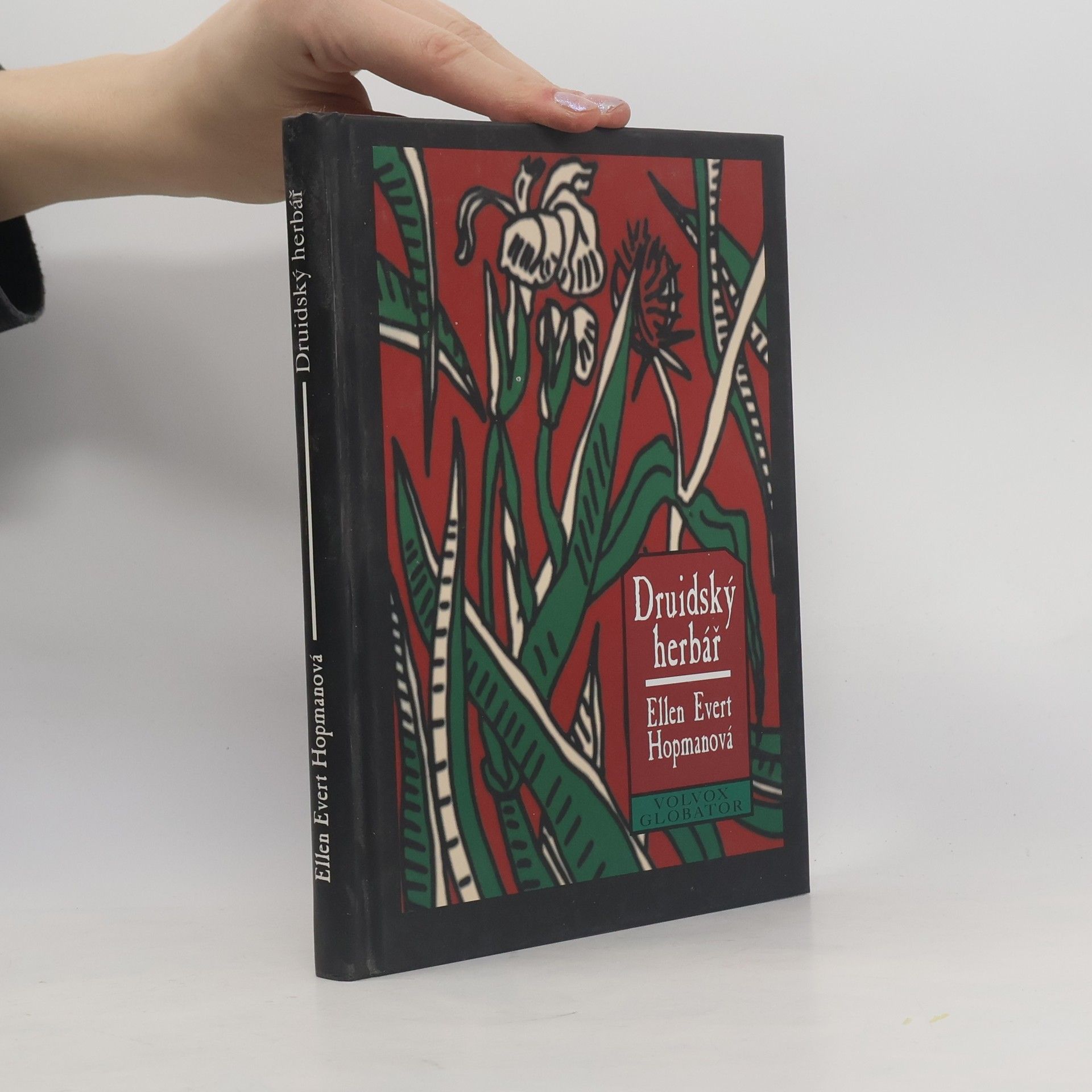 Milan Bobysud Druidský herbář a Svatý rok