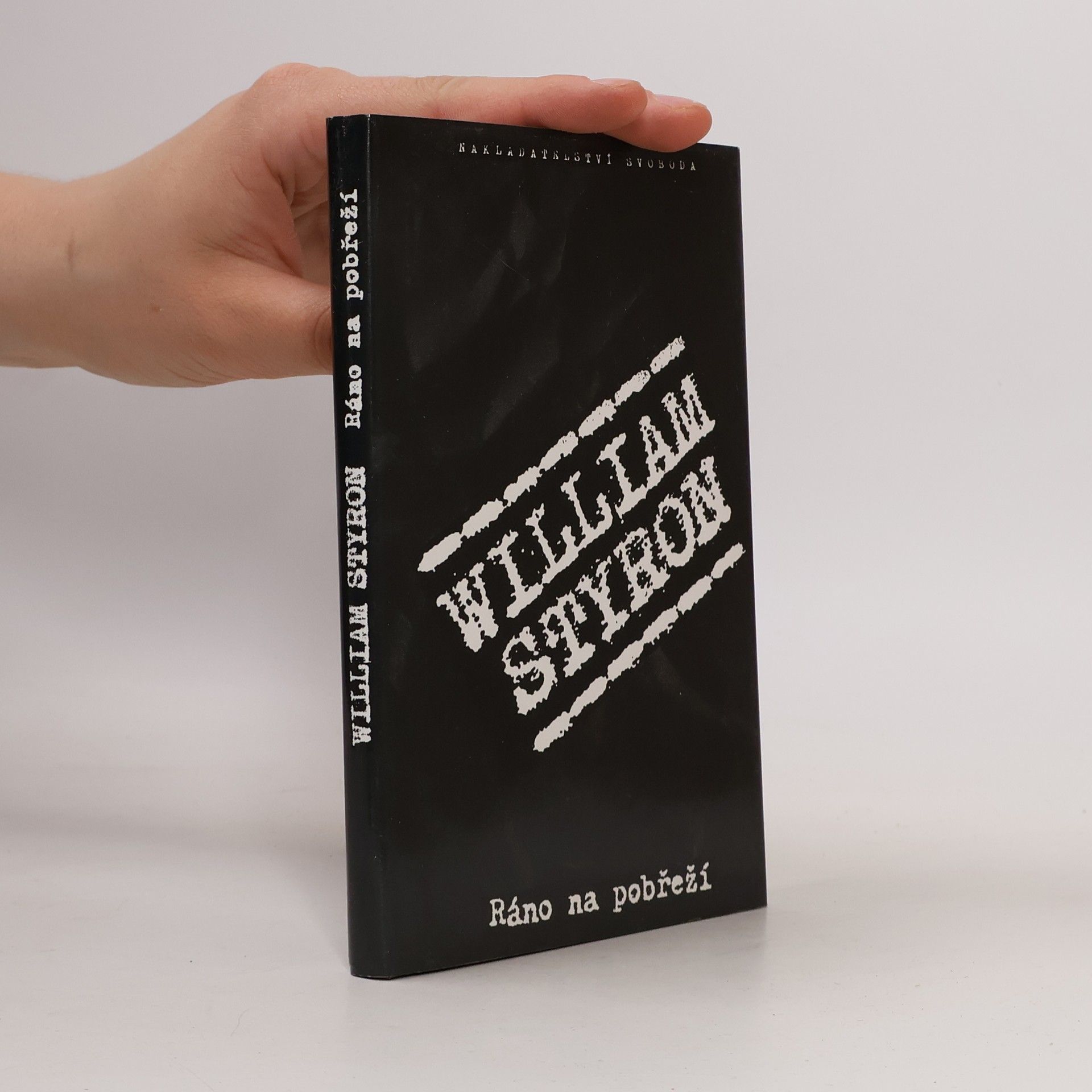 William Styron Ráno na pobřeží