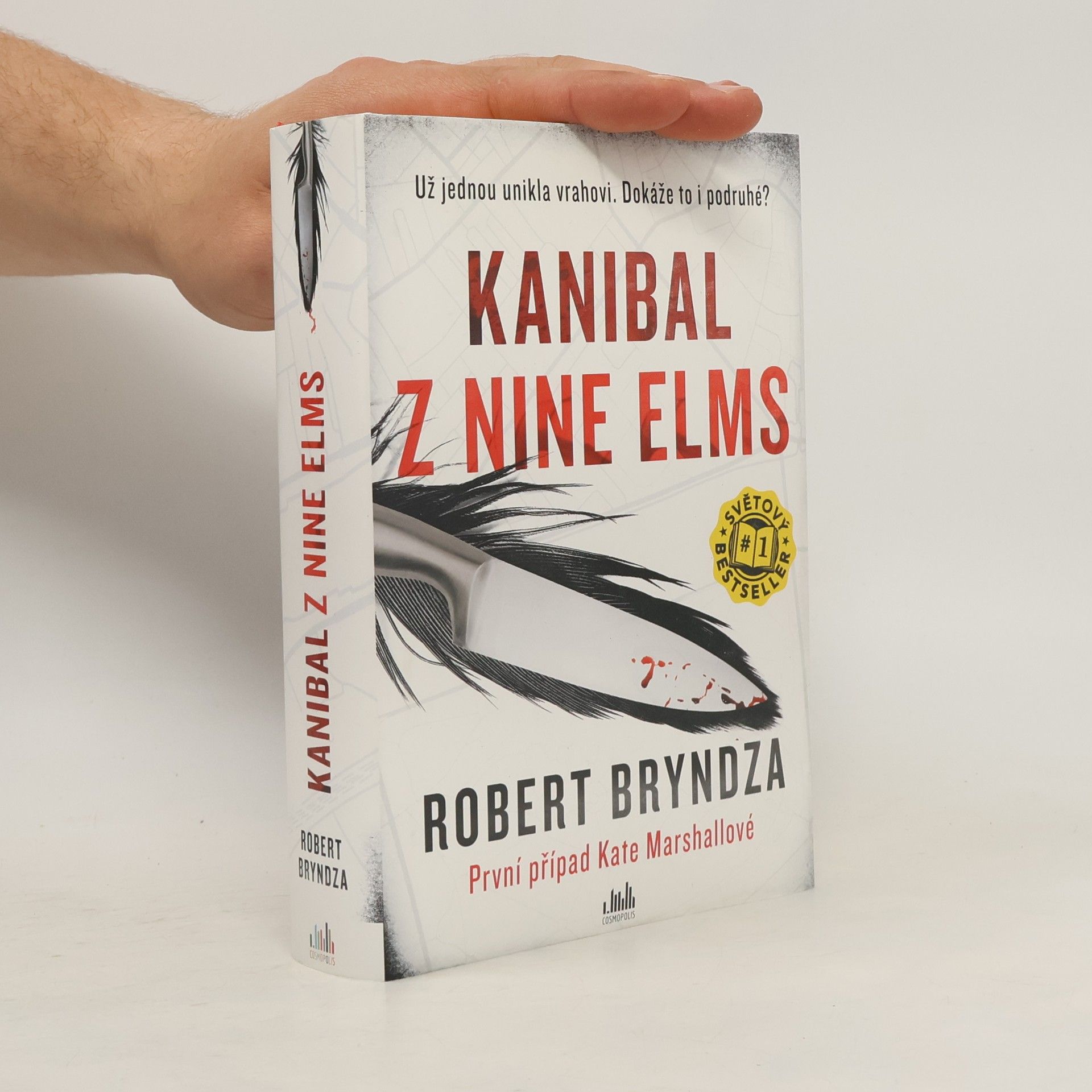Robert Bryndza Kanibal z Nine Elms