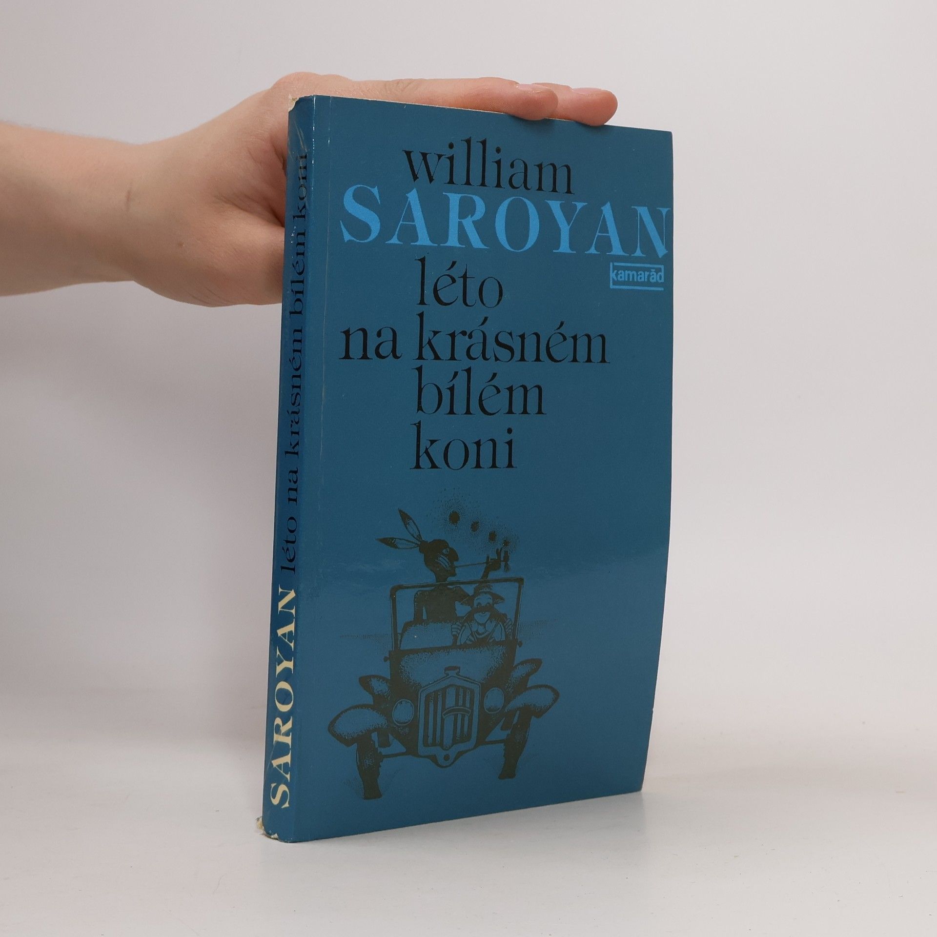 William peneyan Léto na krásném bílém koni