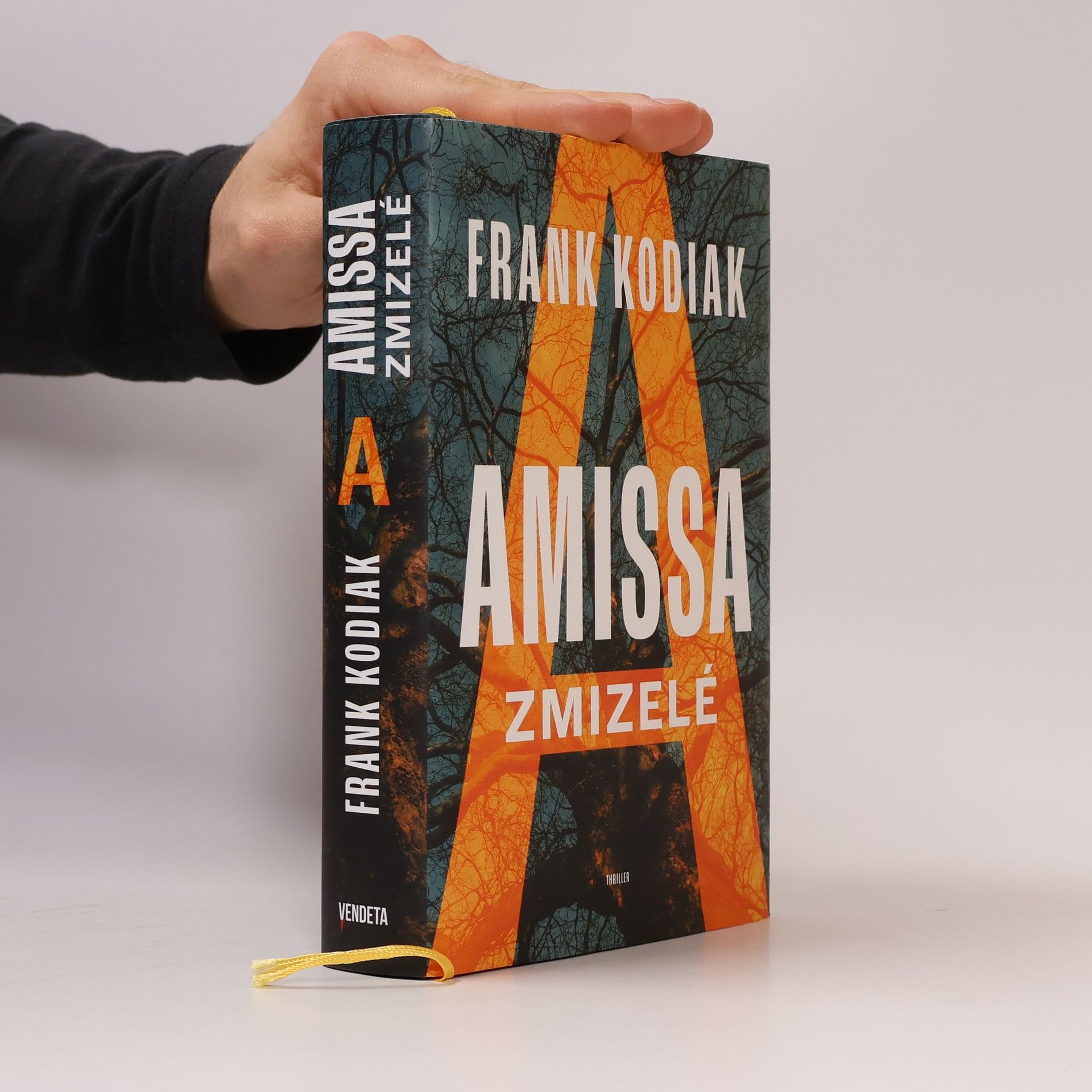 Hendrik Winter Amissa. Zmizelé