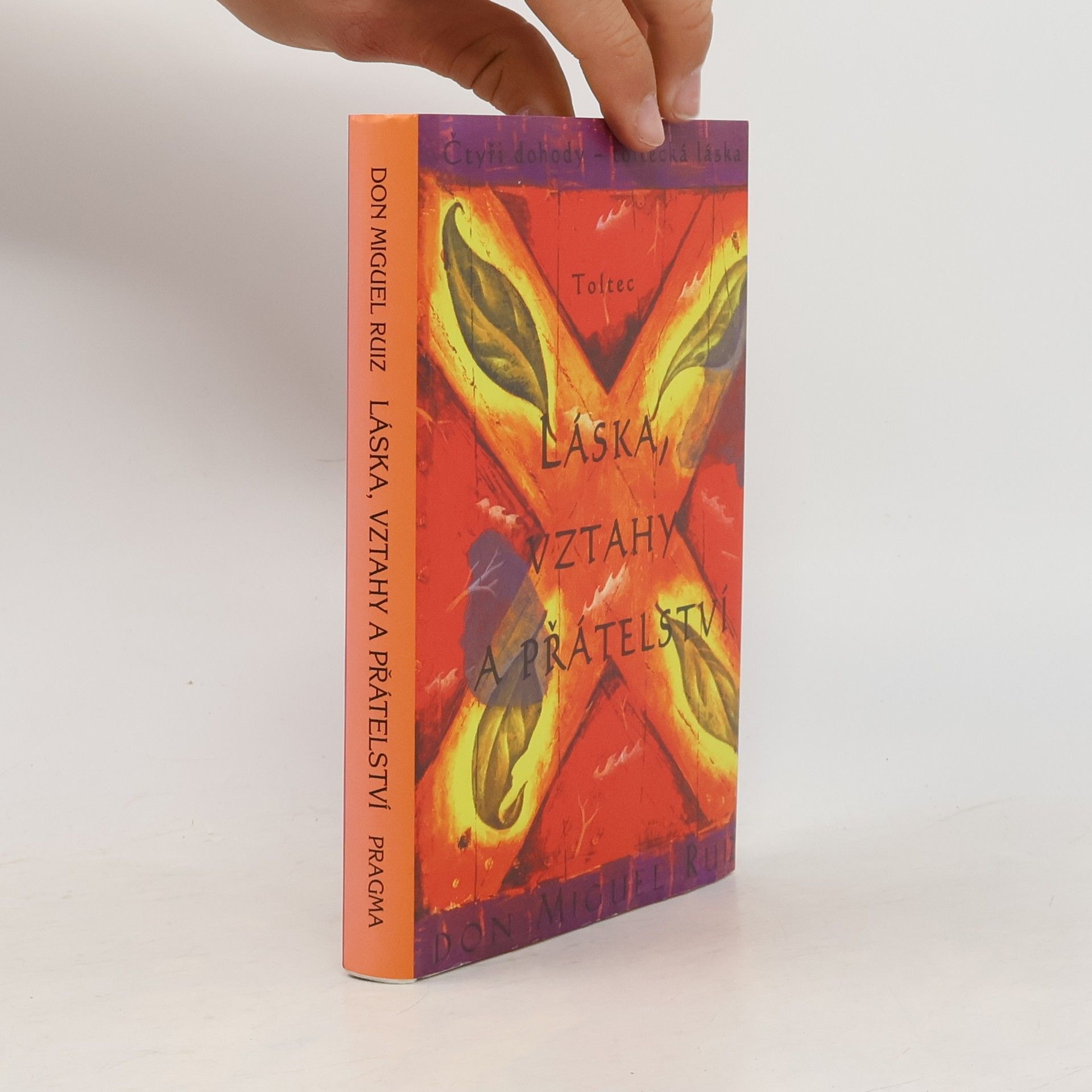 Don Miguel Ruiz Láska, vztahy a přátelství
