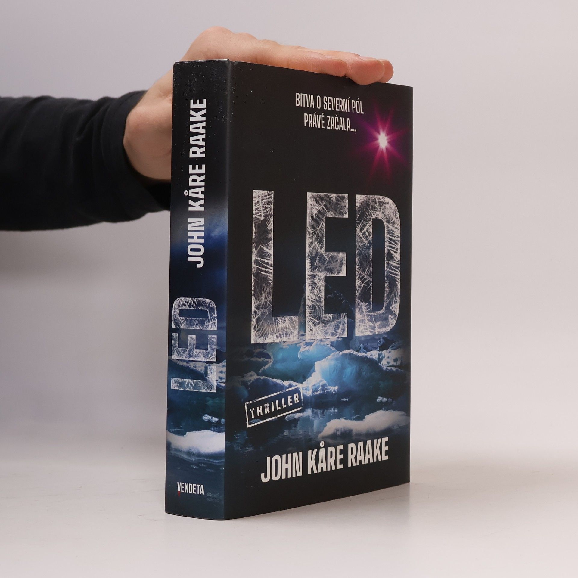 John Kåre Raake Led