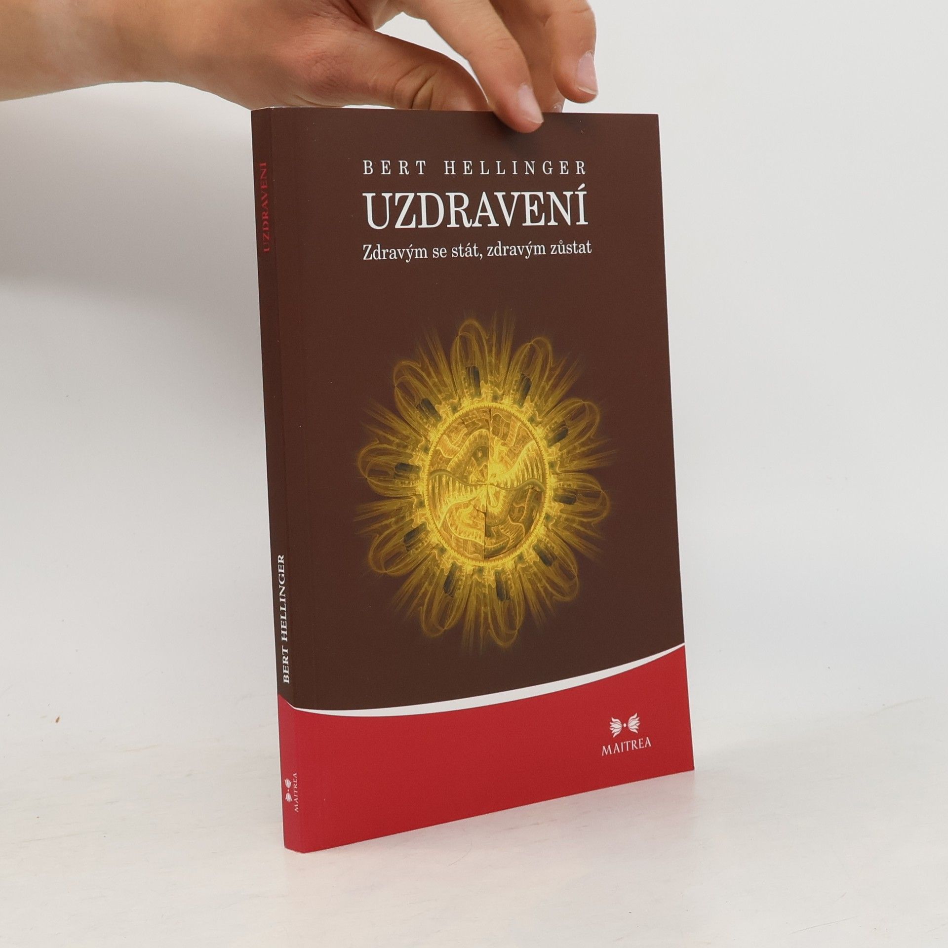 Bert Hellinger Uzdravení. Zdravým se stát, zdravým zůstat