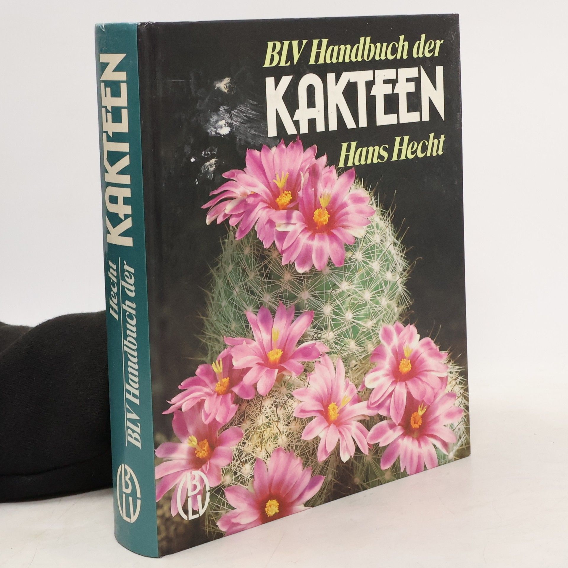 Hans Hecht Kakteen