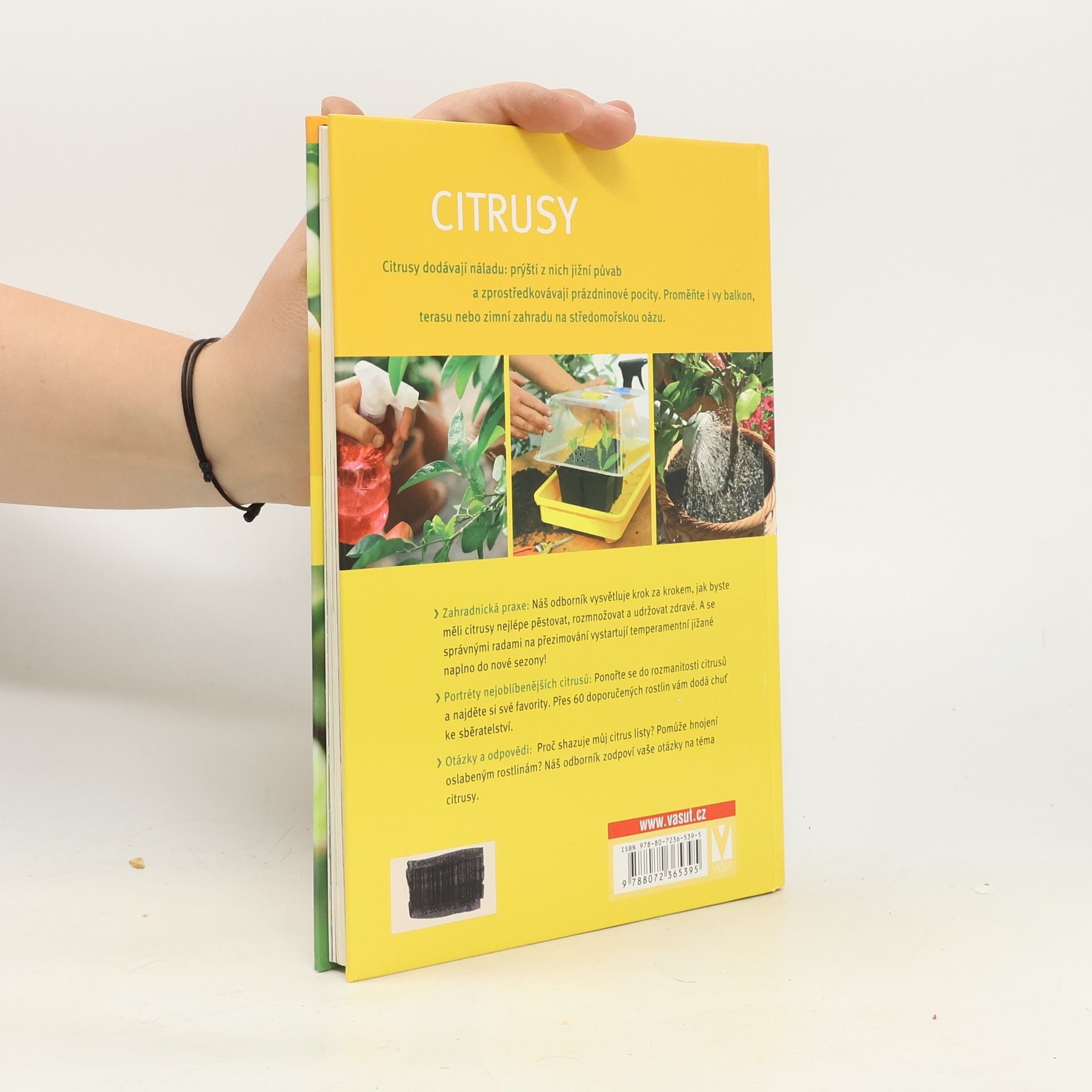 Hans Peter Maier Citrusy: Krok za krokem k vlastnímu citrusovému ráji