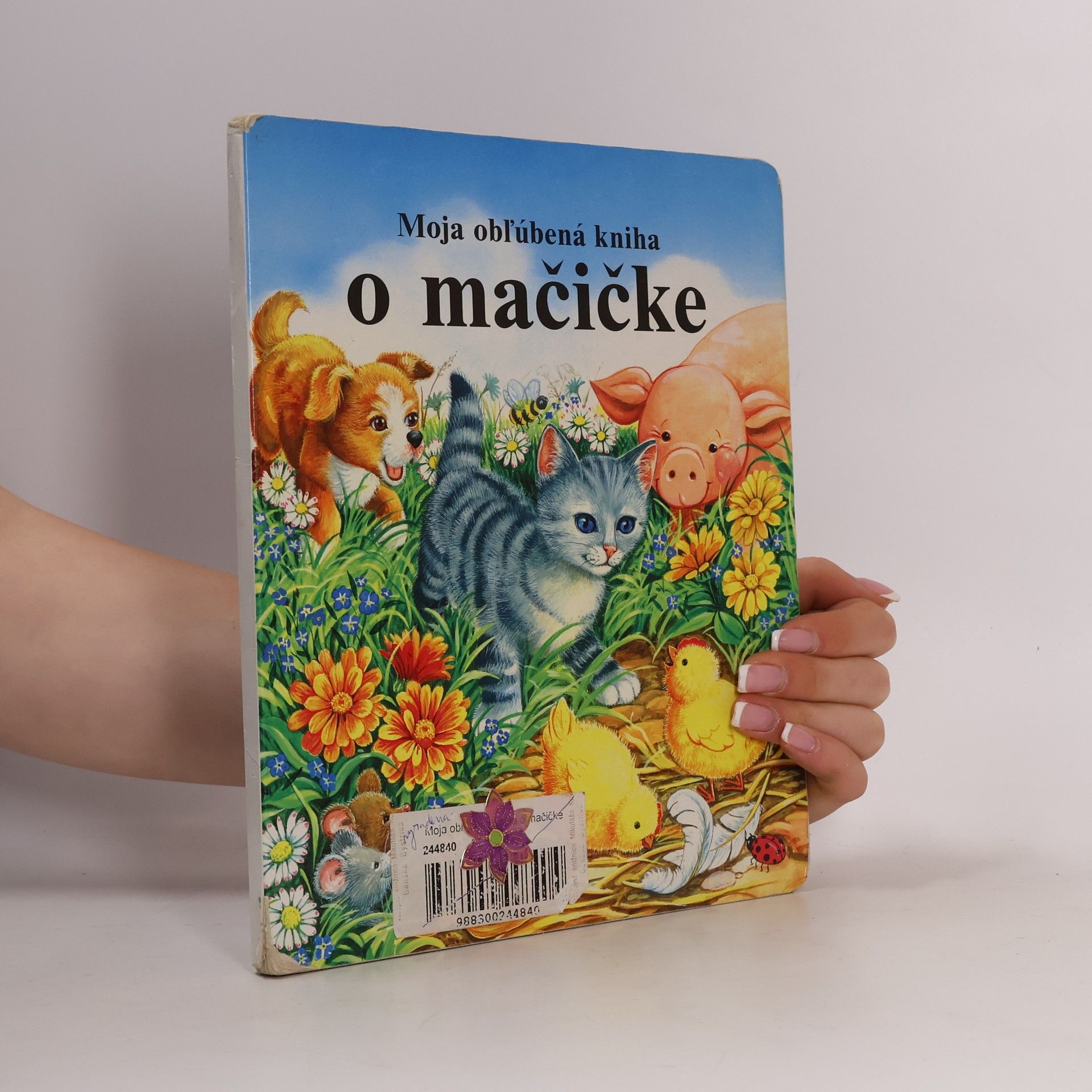 L. Birkenshav Moja obľúbená kniha o mačičke