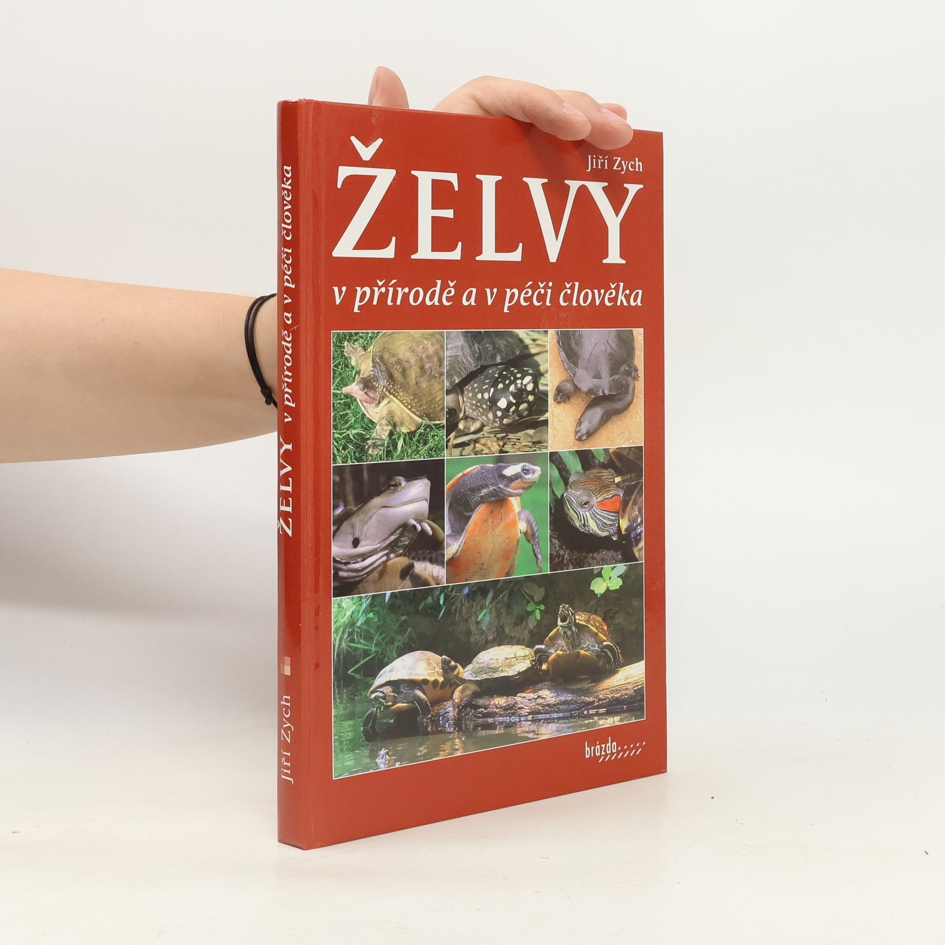 Jiří Zych Želvy v přírodě a v péči člověka