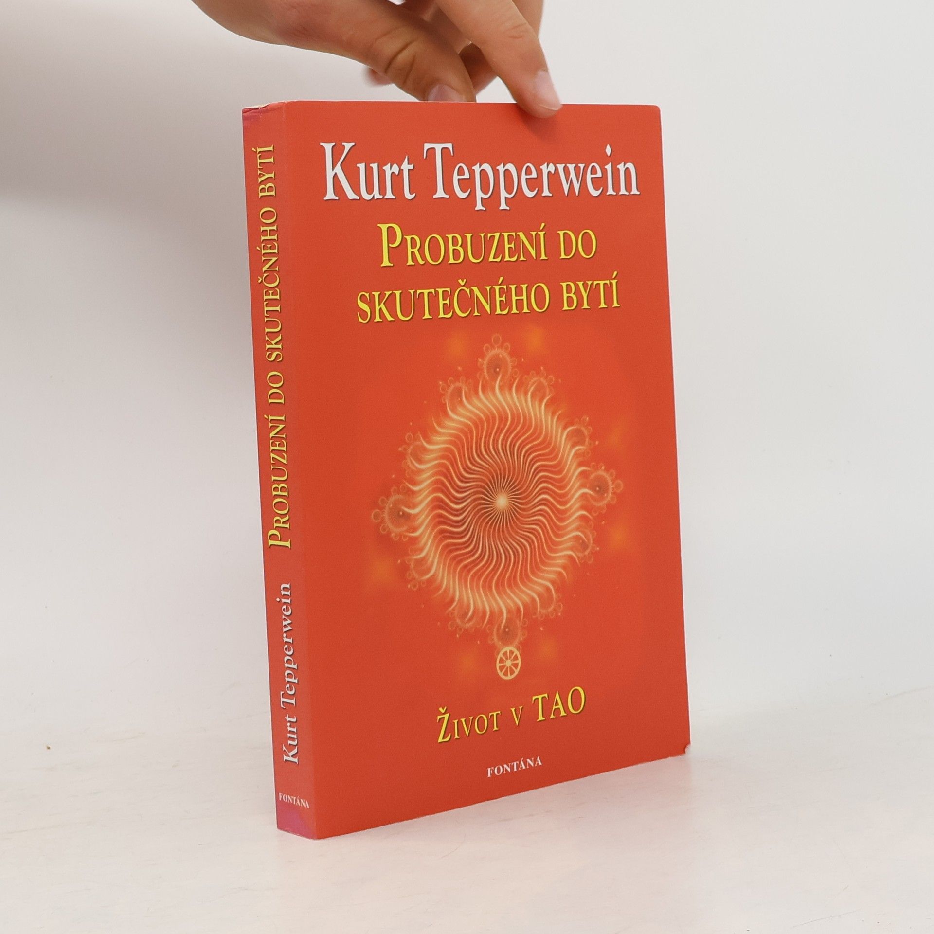 Kurt Tepperwein Probuzení do skutečného bytí