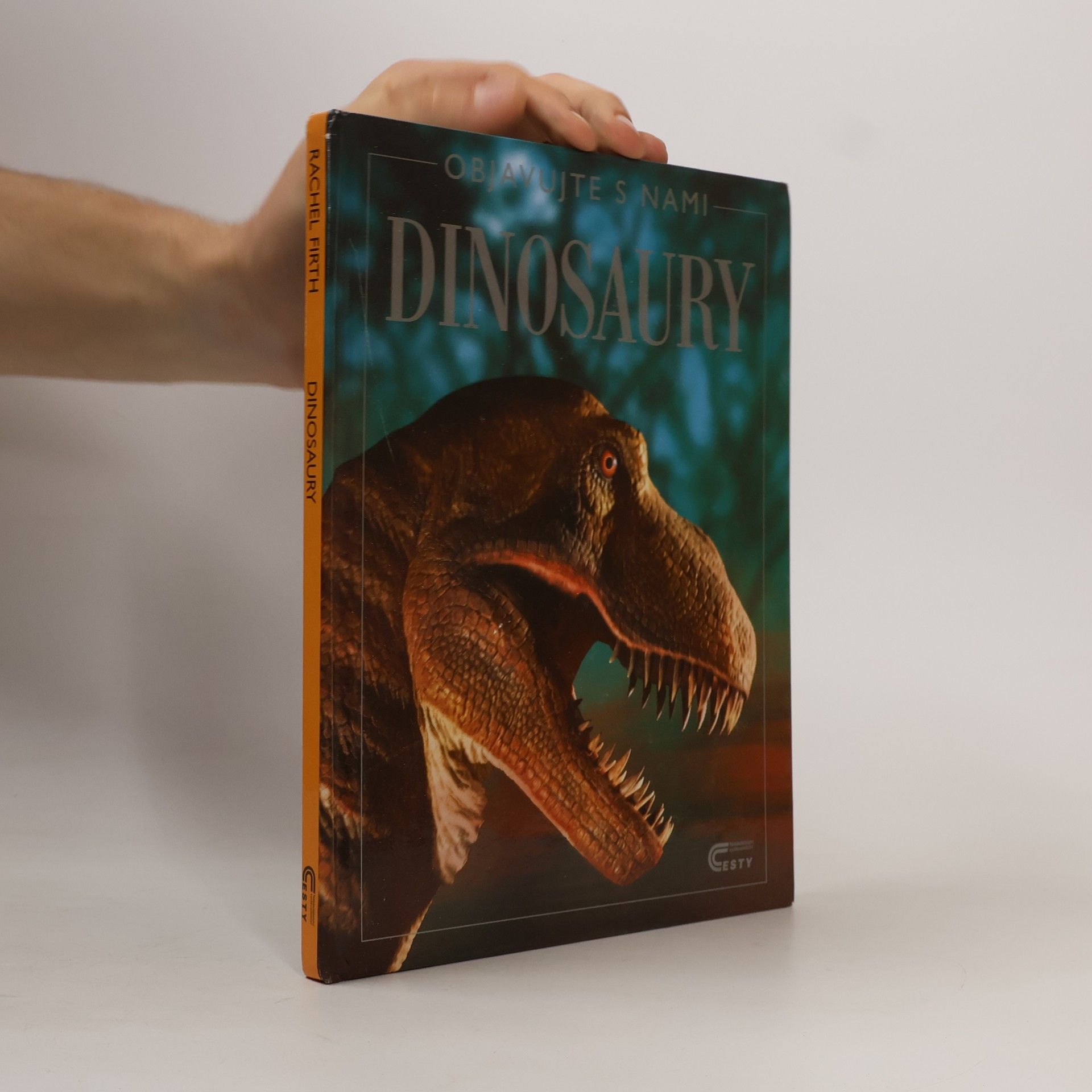 Rachel Firth Dinosaury