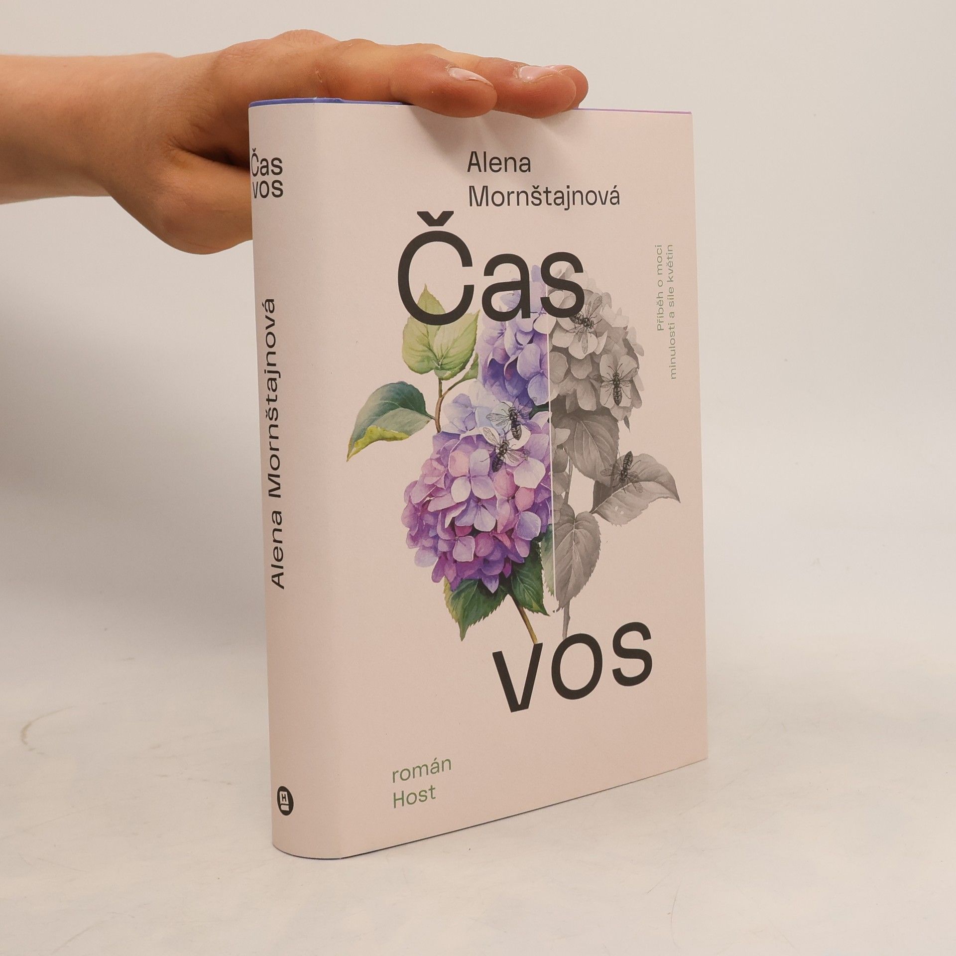 Alena Mornštajnová Čas vos