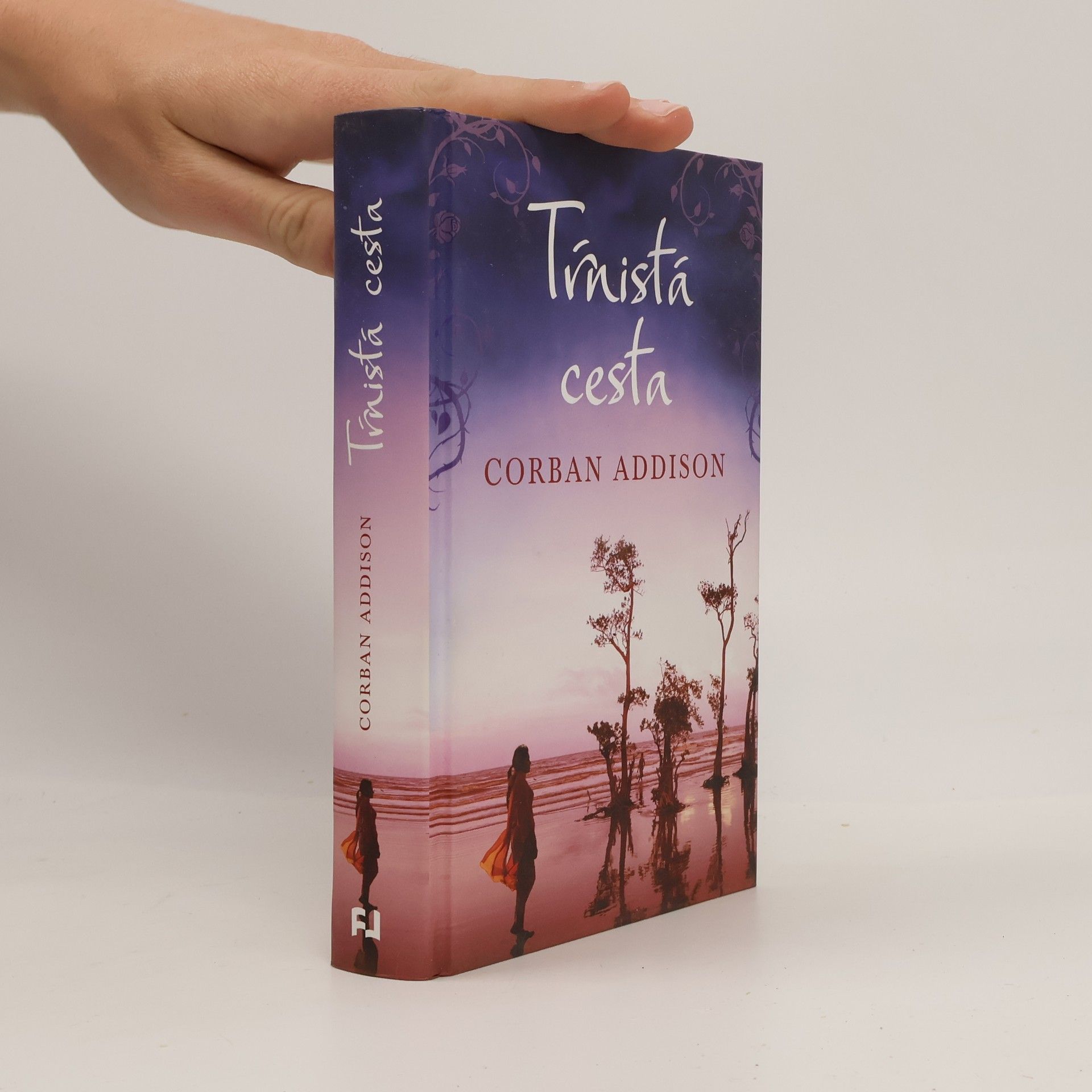 Corban Addison Tŕnistá cesta