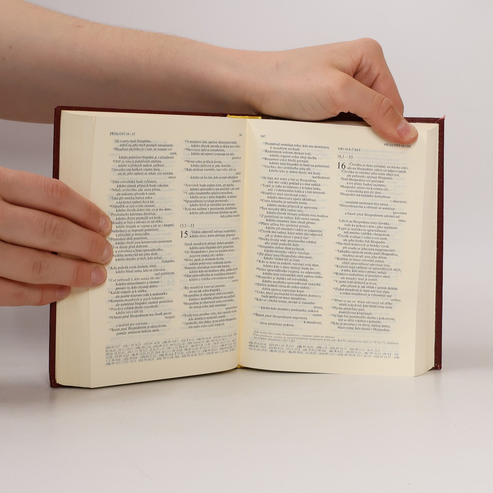 Autorenkollektiv Bible. Písmo svaté Starého i Nového zákona. Ekumenický překlad