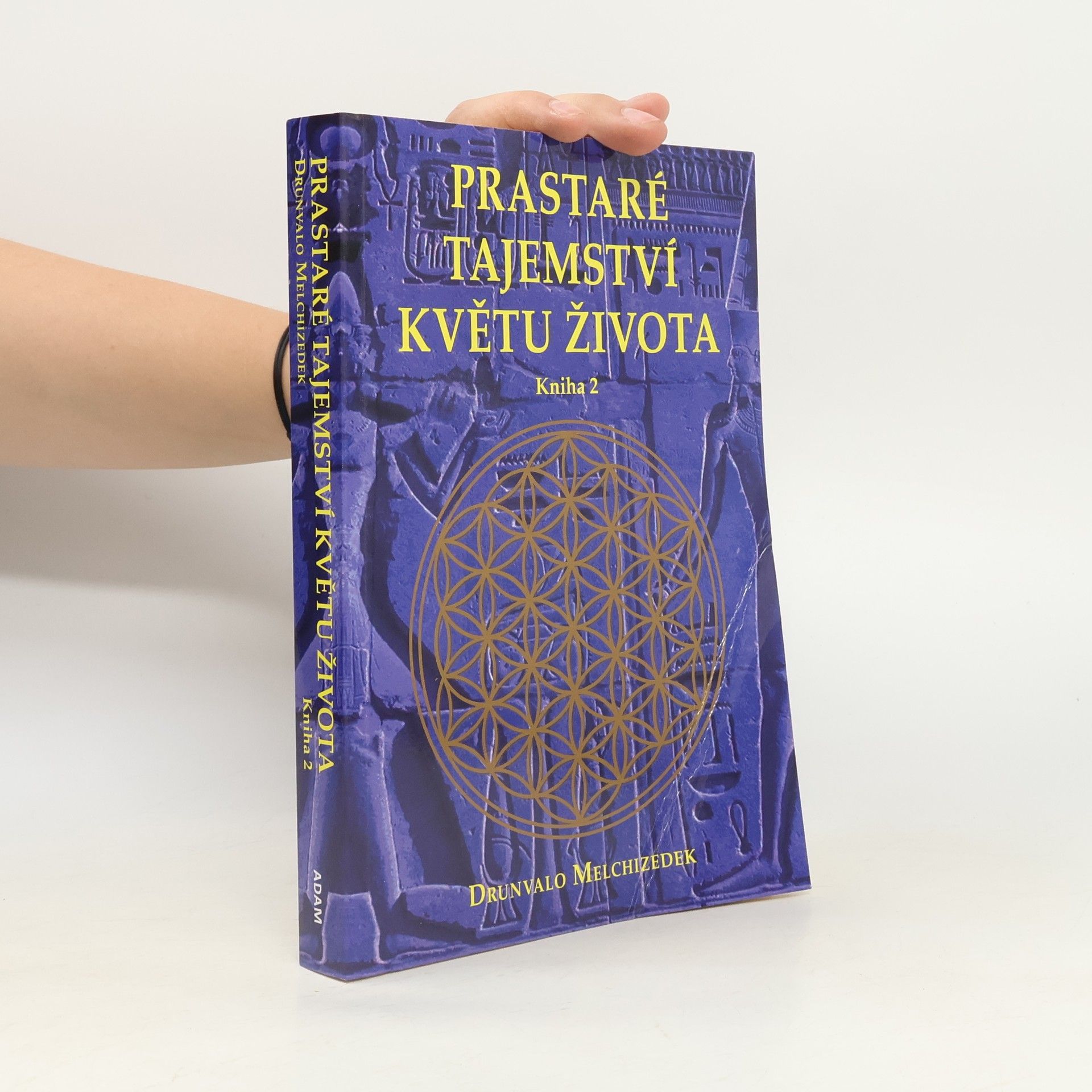 Petr Kobza Prastaré tajemství Květu života. 2. díl