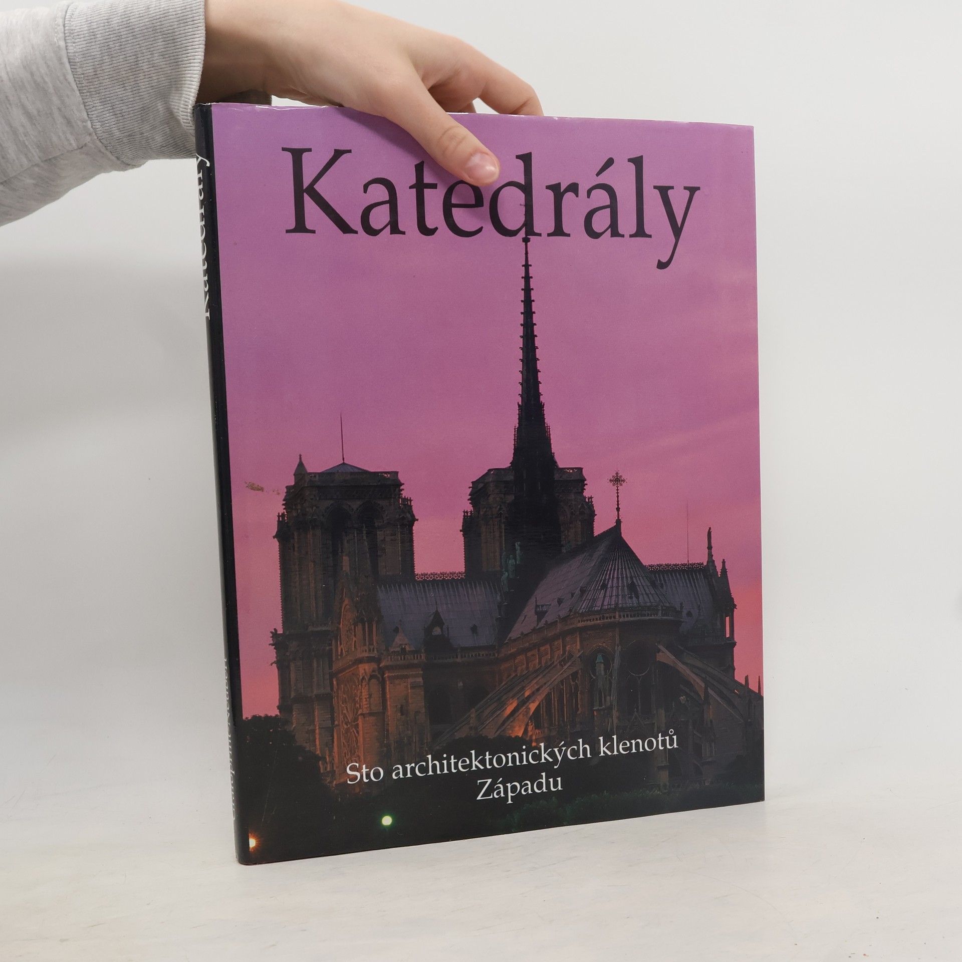 Josef Matějů Katedrály. Sto architektonických klenotů Západu