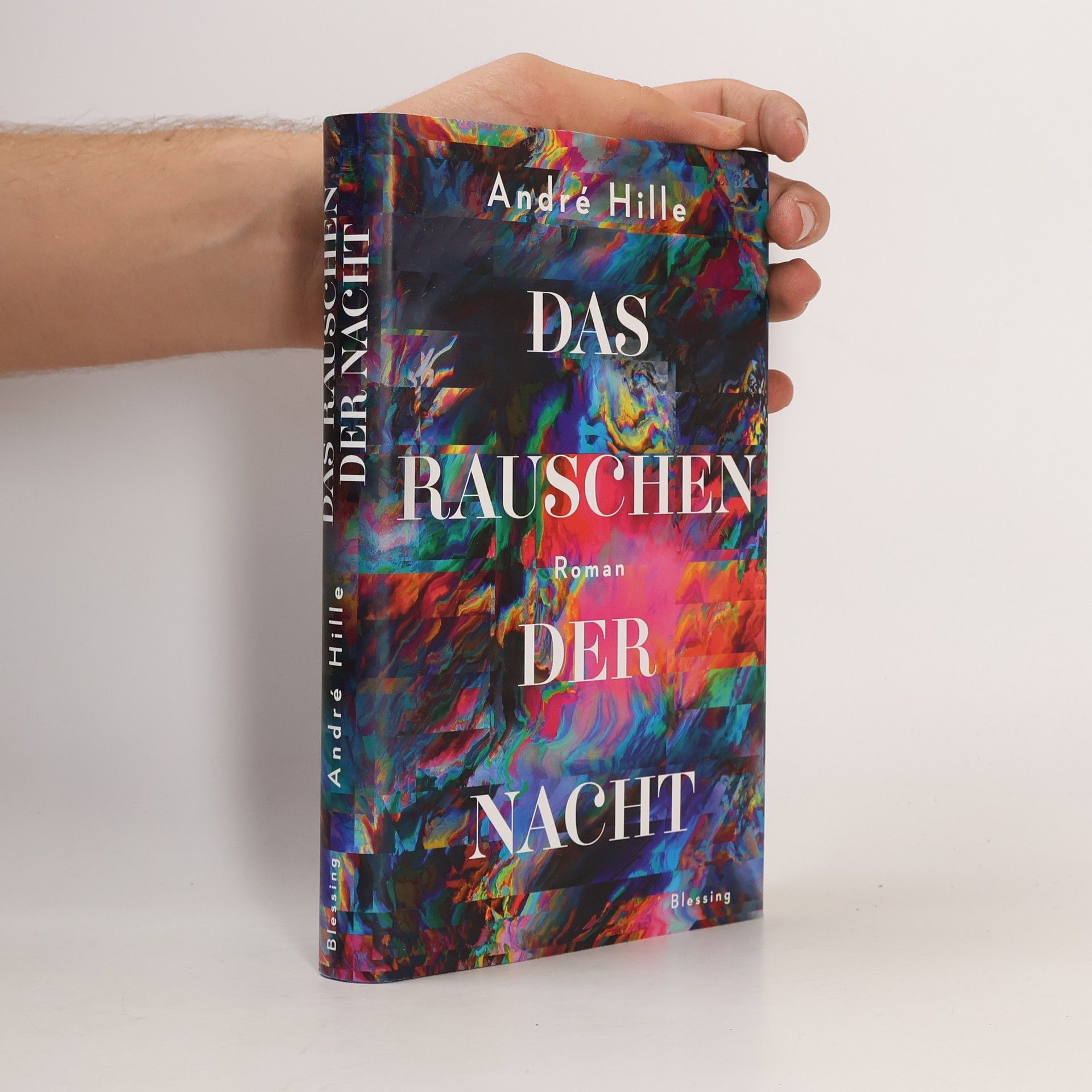 Das Rauschen der Nacht. Roman