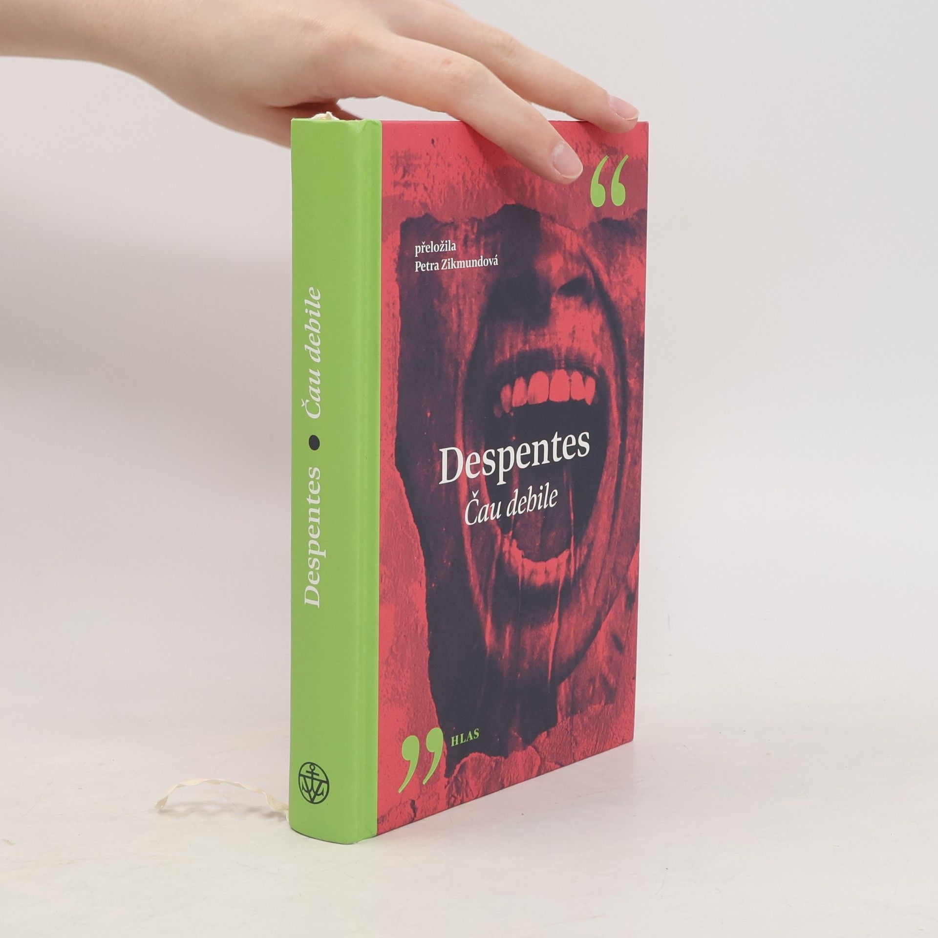 Virginie Despentes Čau debile