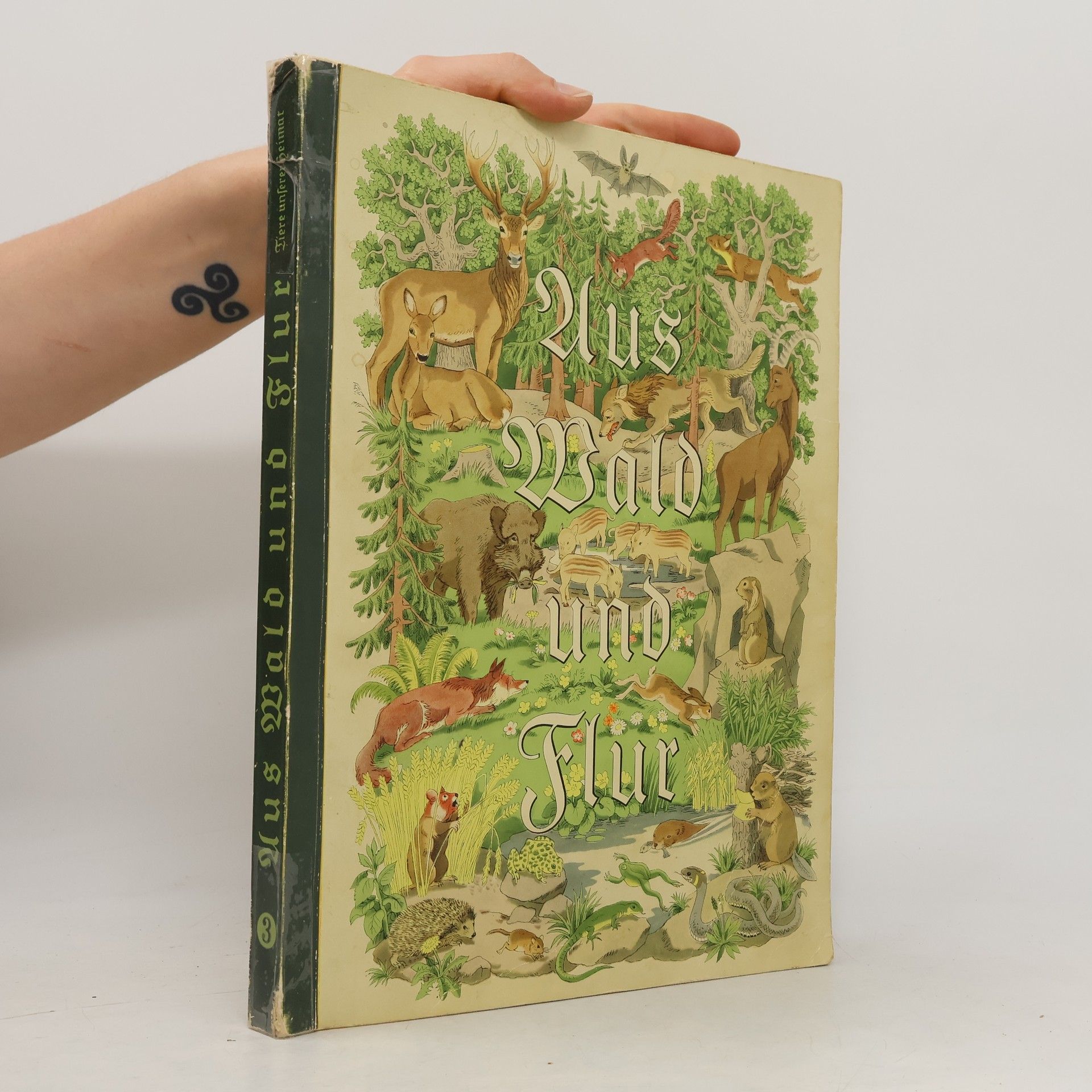Collectif d'auteurs Aus Wald und Flur