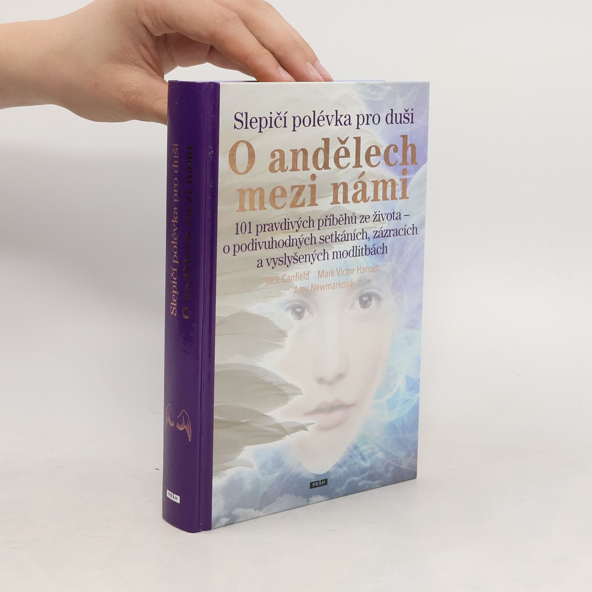 Slepičí polévka pro duši - o andělech mezi námi
