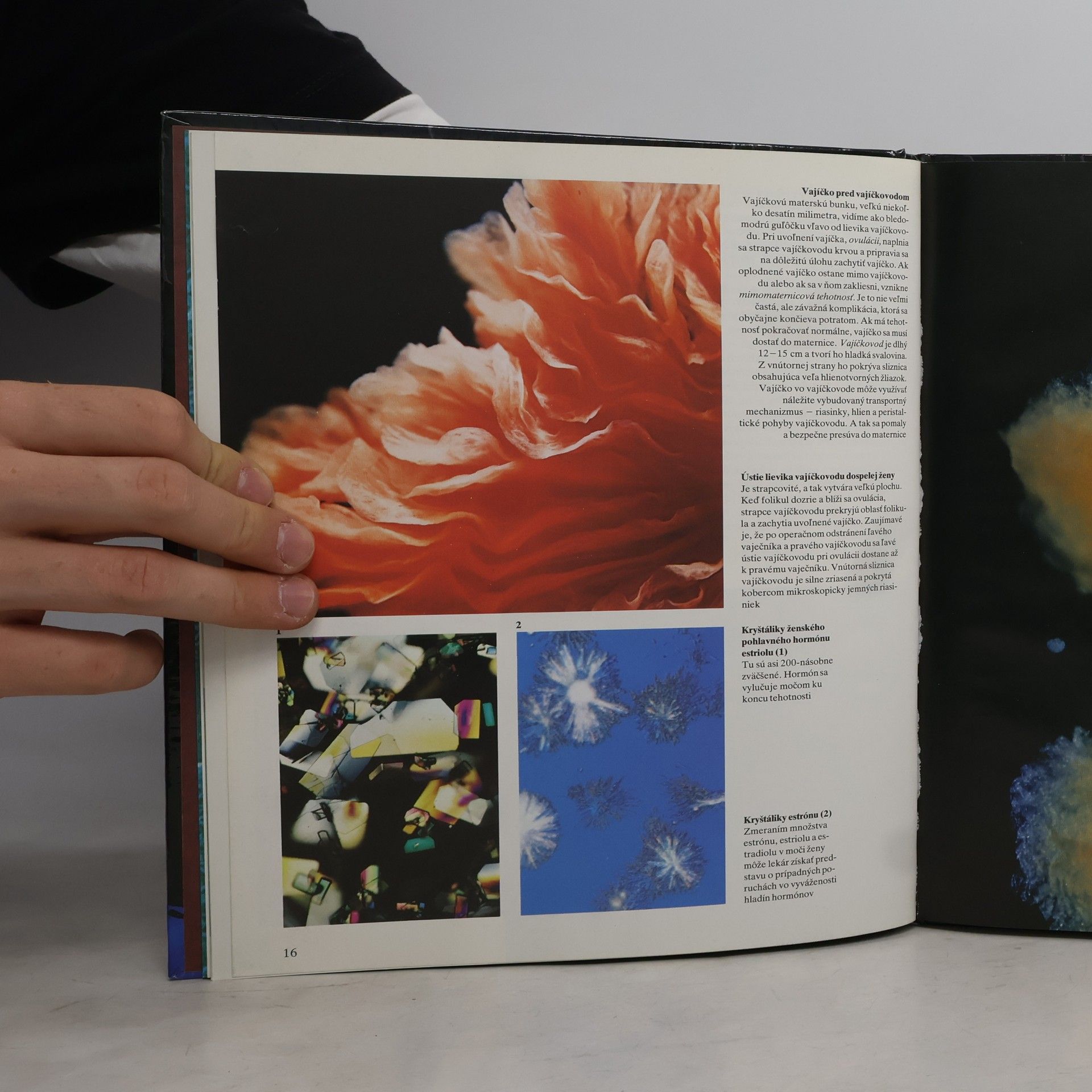Autores varios Ako sa nepoznáme: Objavná cesta s fotografickým aparátom do nášho tela
