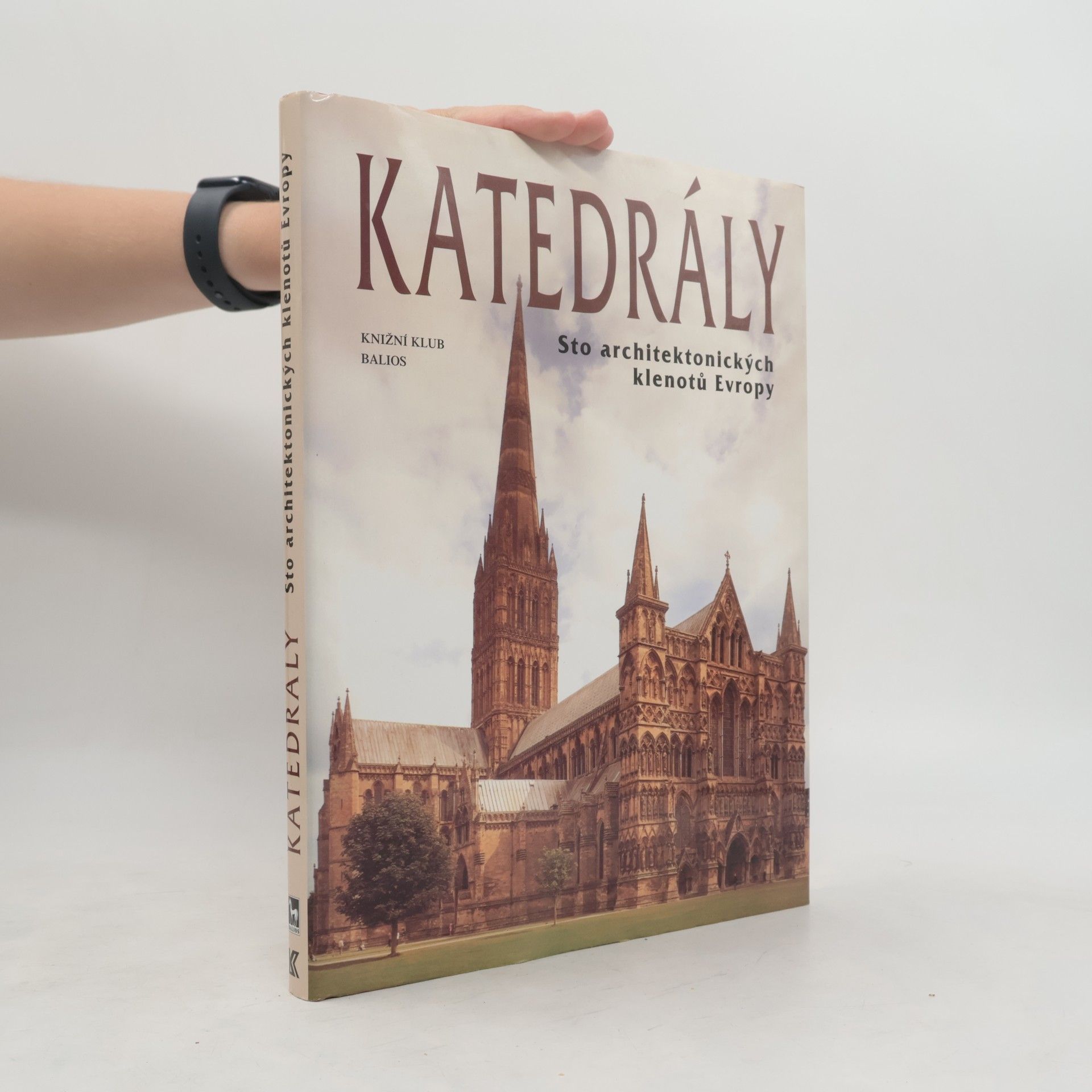 Josef Matějů Katedrály : sto architektonických klenotů Evropy