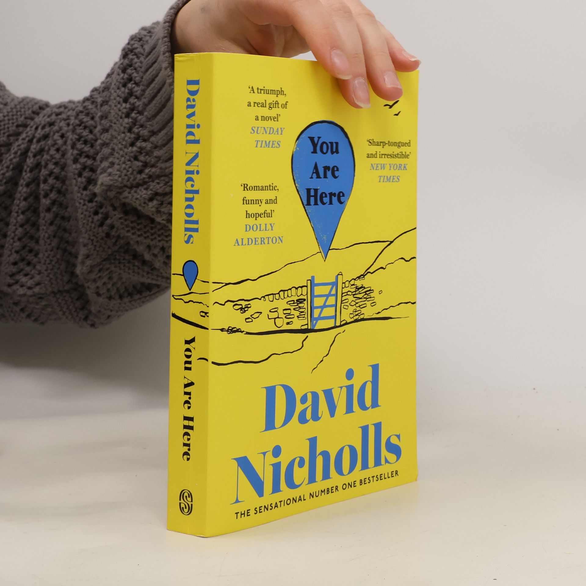 David Nicholls You Are Here